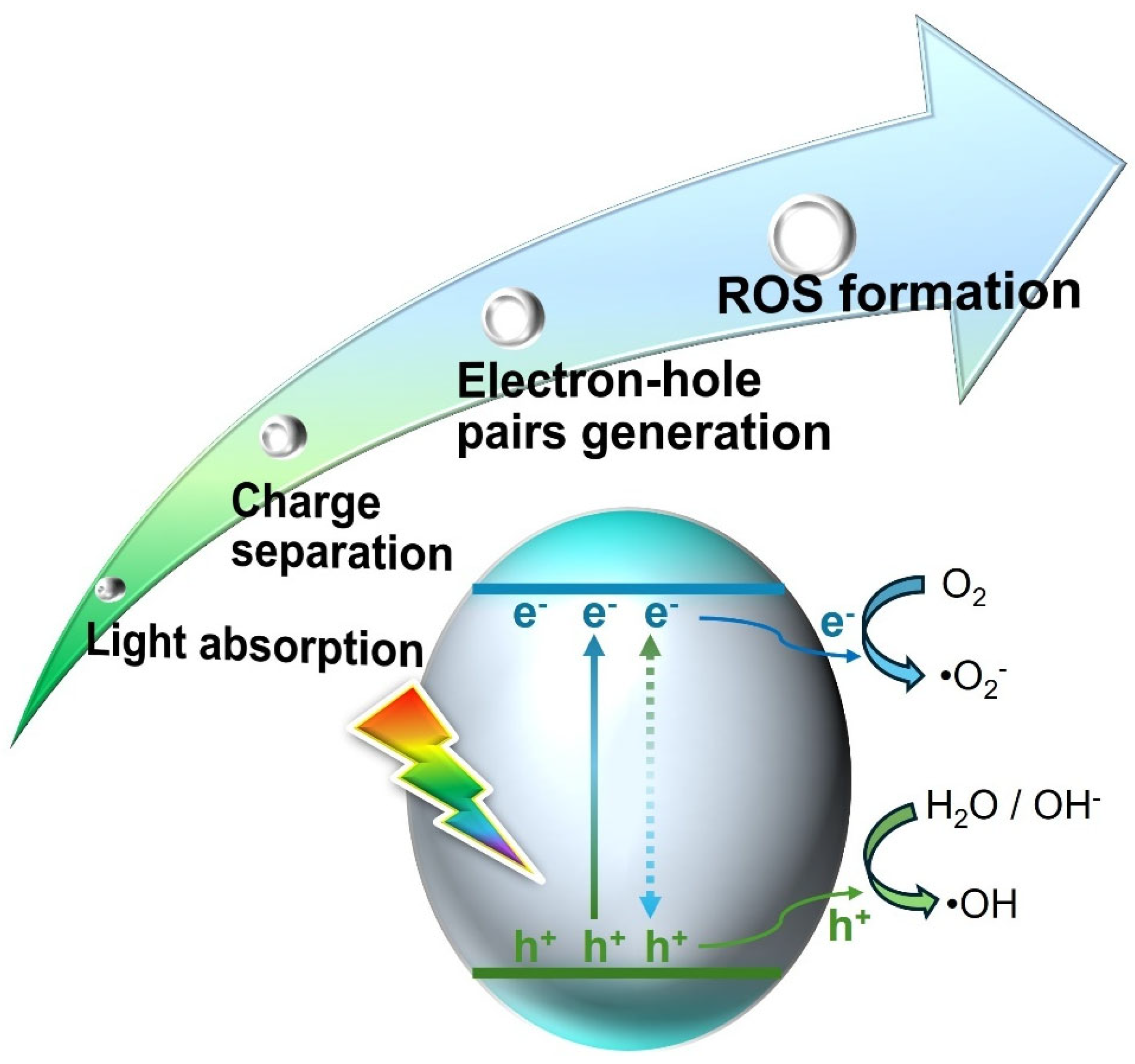 Applsci 16 00844 sch002