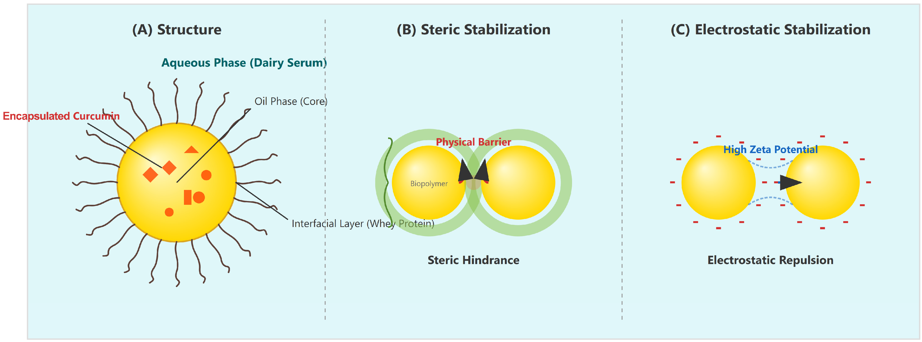 Applsci 16 00885 g003