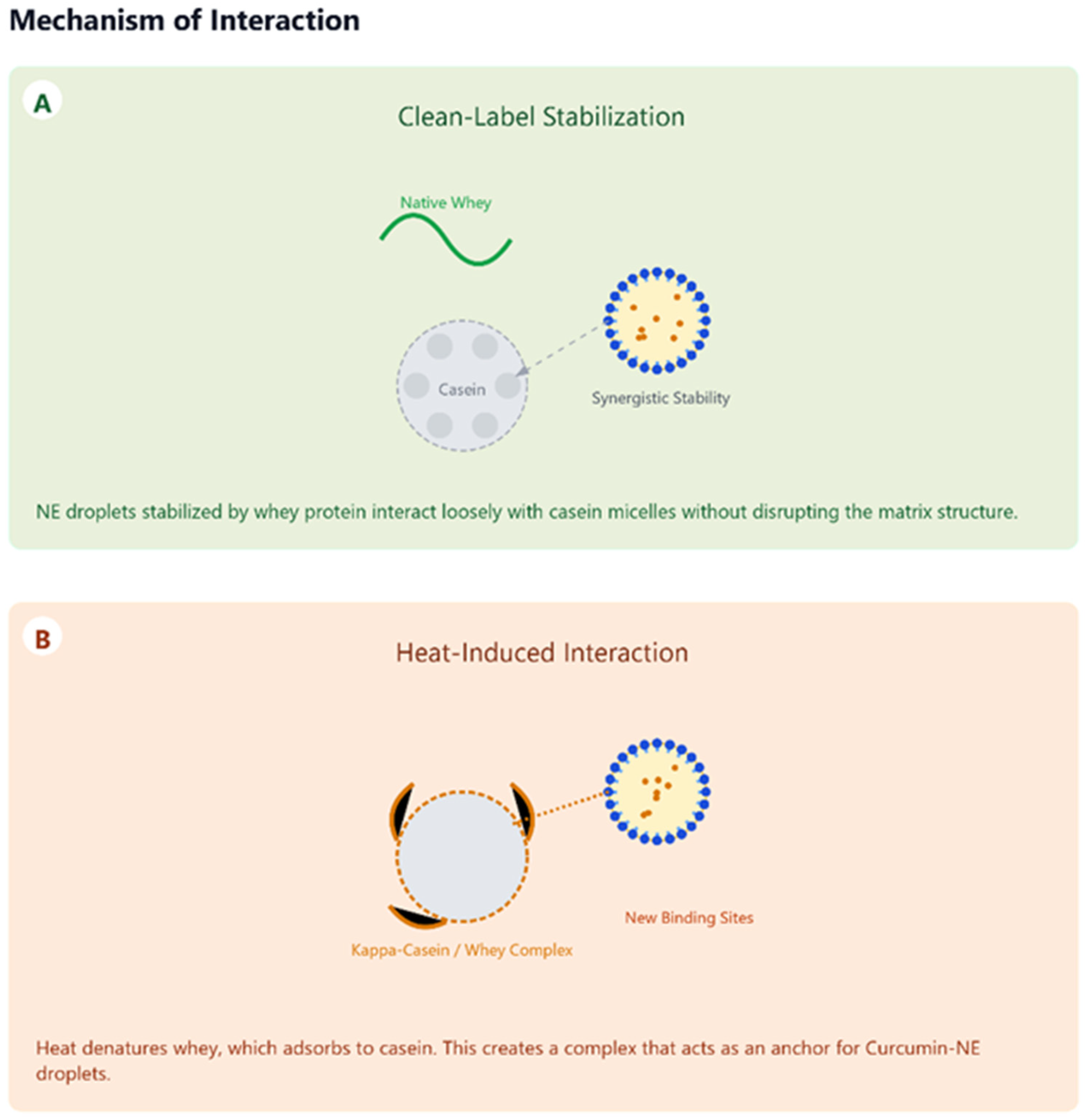 Applsci 16 00885 g005