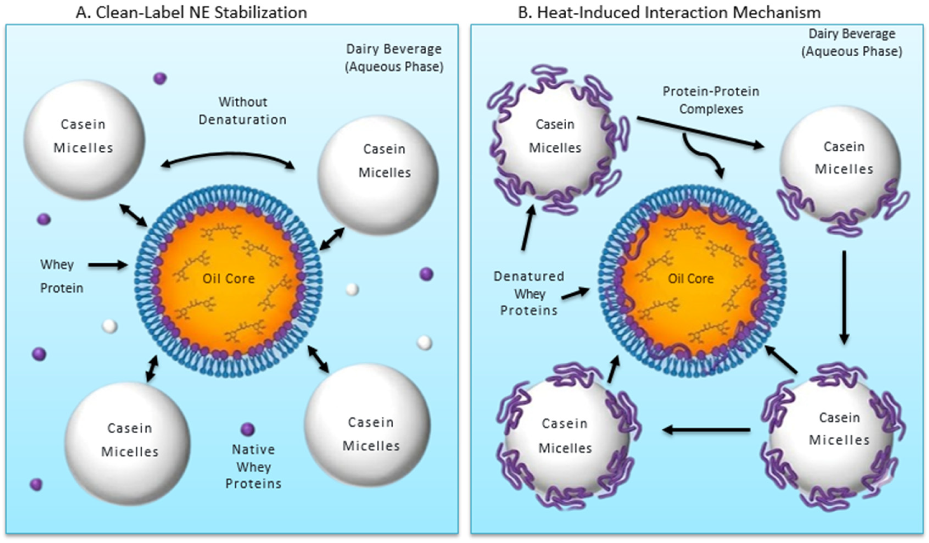 Applsci 16 00885 g007
