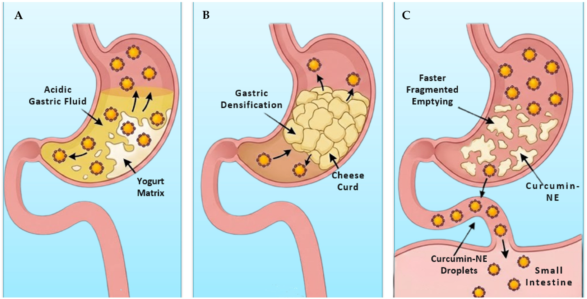 Applsci 16 00885 g009