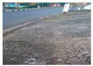 Applsci 16 00897 i003