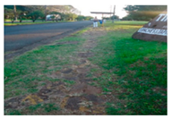 Applsci 16 00897 i005