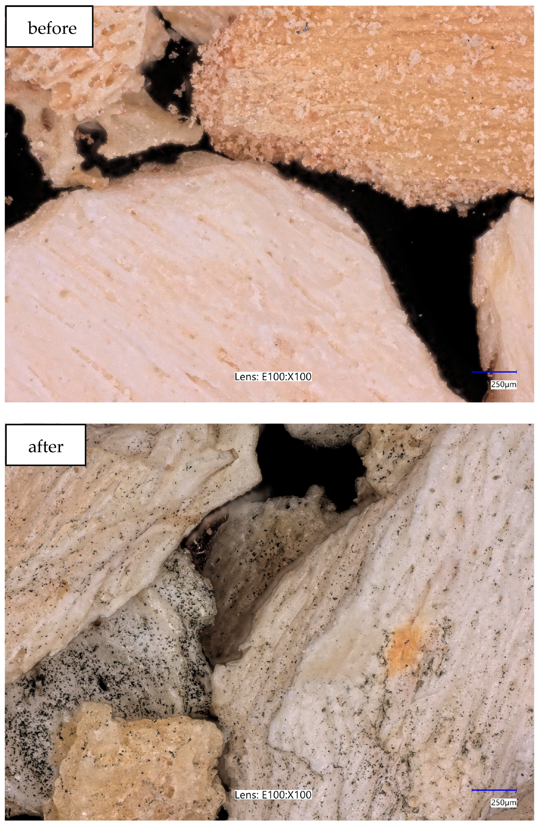 Applsci 16 00905 g025 Applsci 16 00905 g025