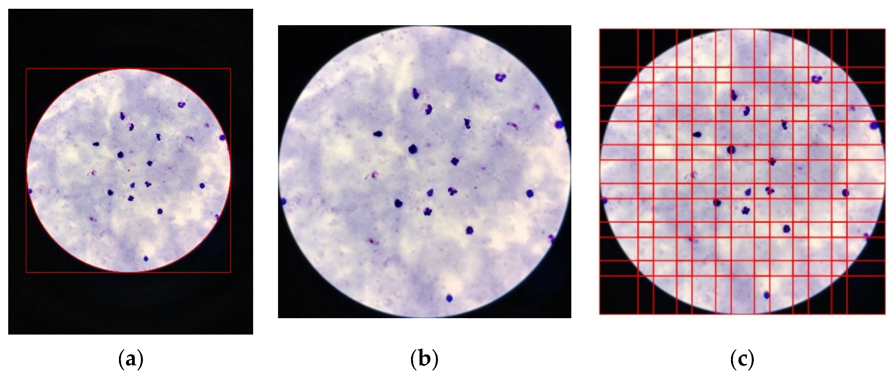 Applsci 16 00927 g003