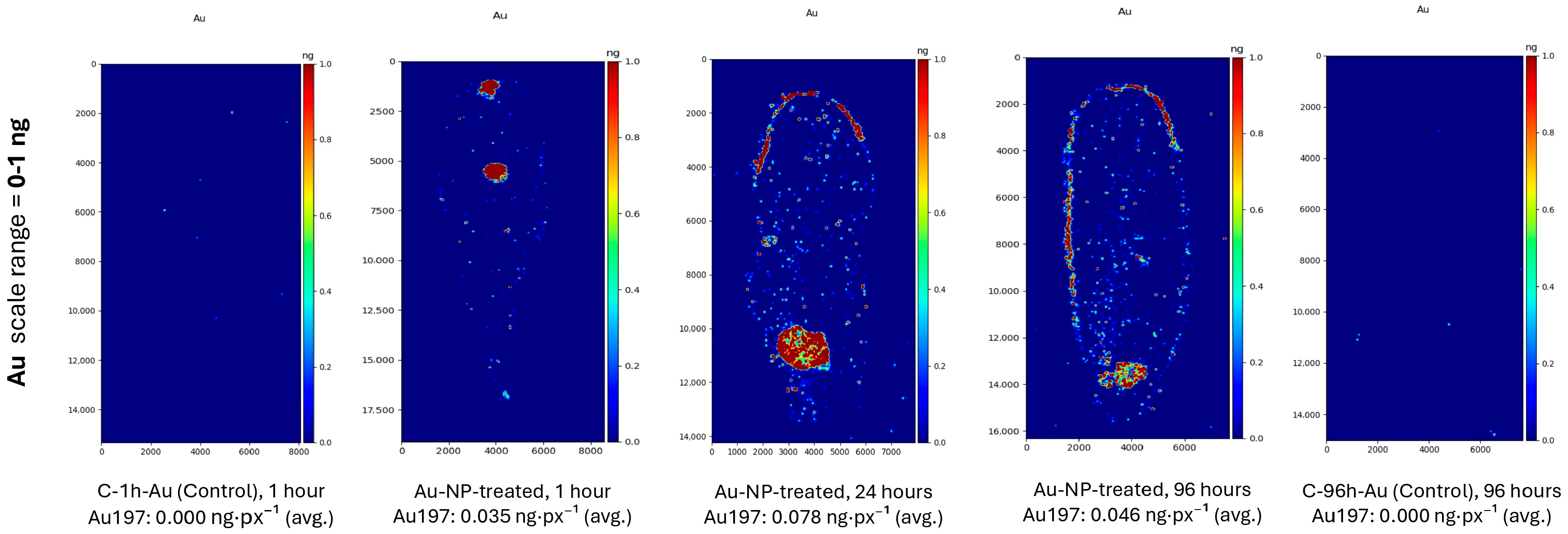 Applsci 16 00974 g001