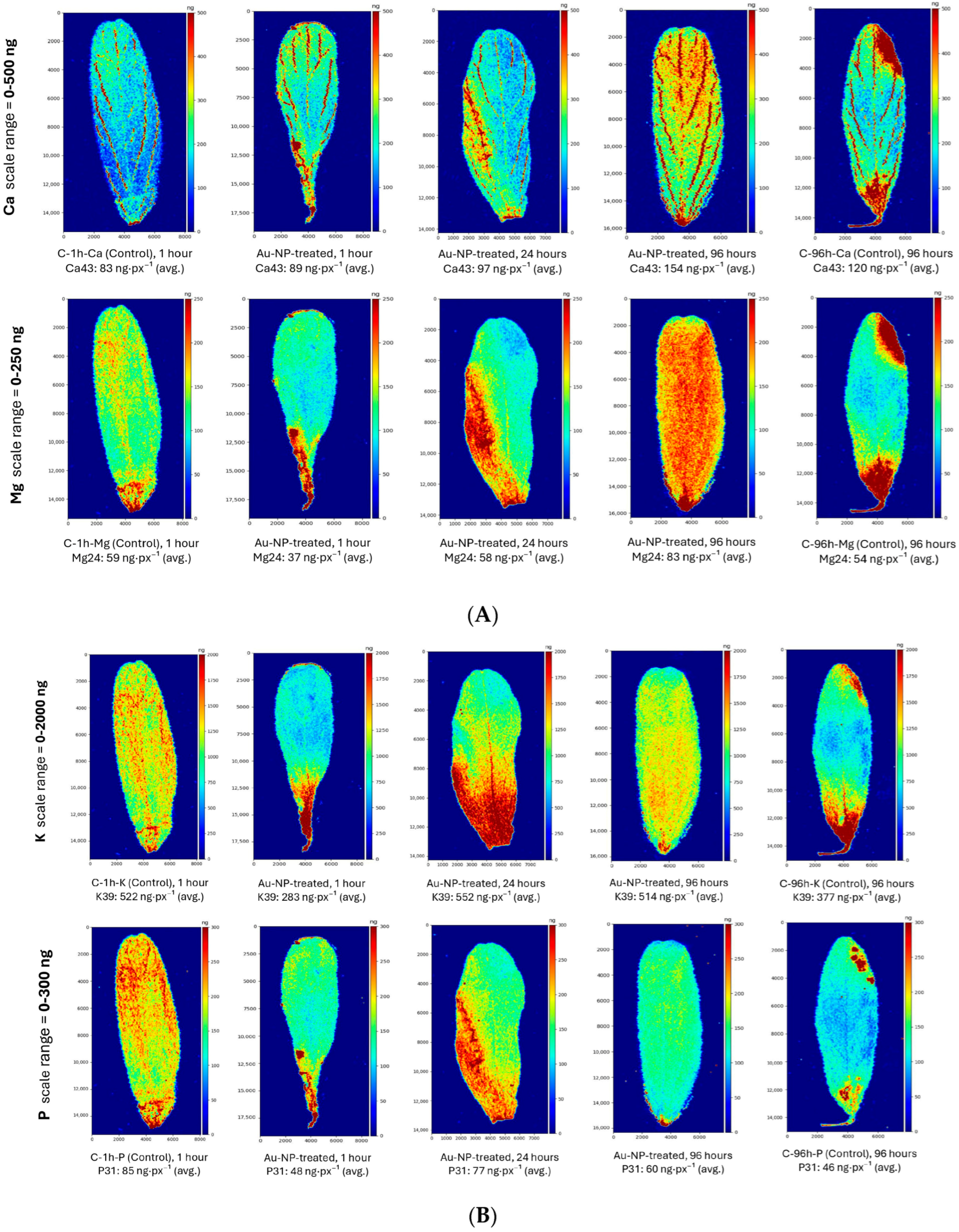 Applsci 16 00974 g002a