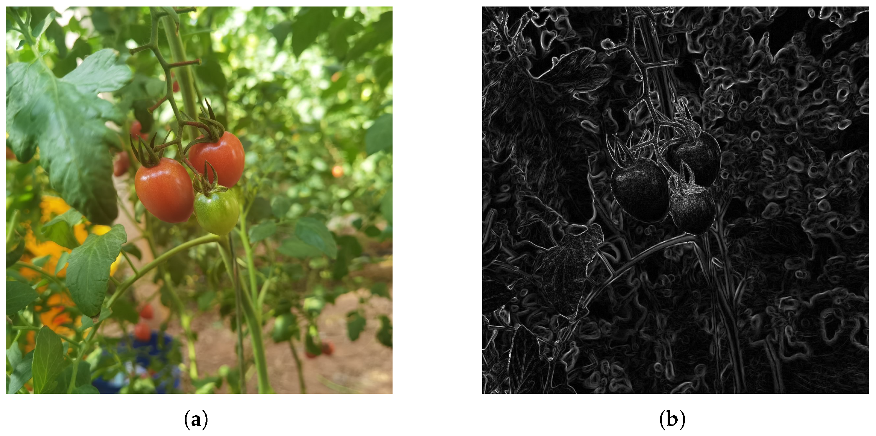 Applsci 16 01043 g008