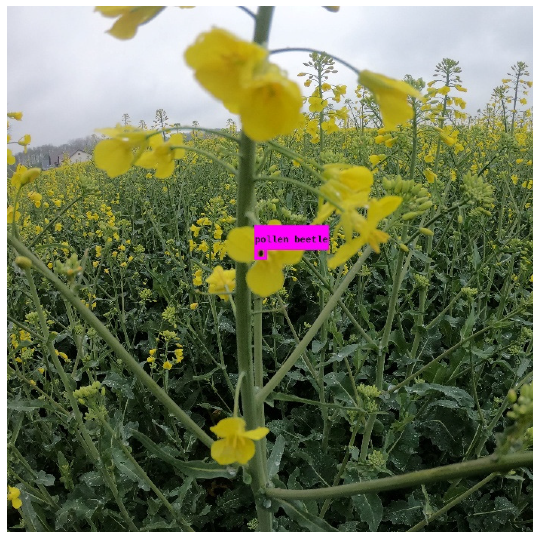 Applsci 16 01075 g004