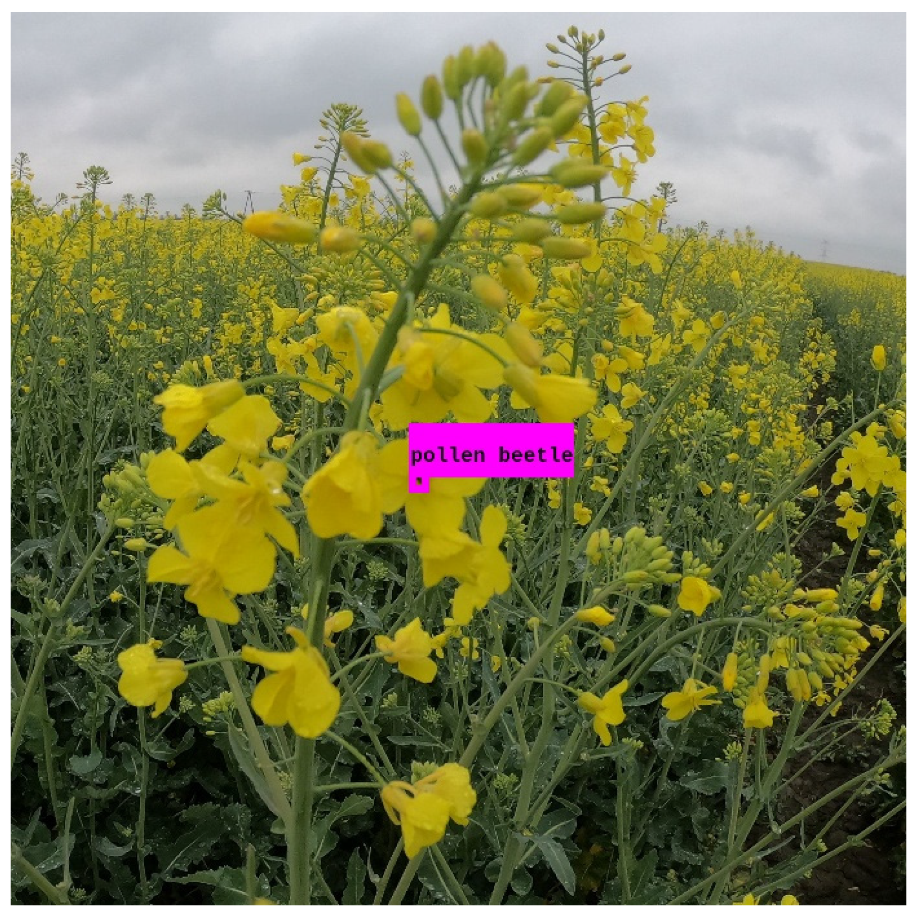 Applsci 16 01075 g005