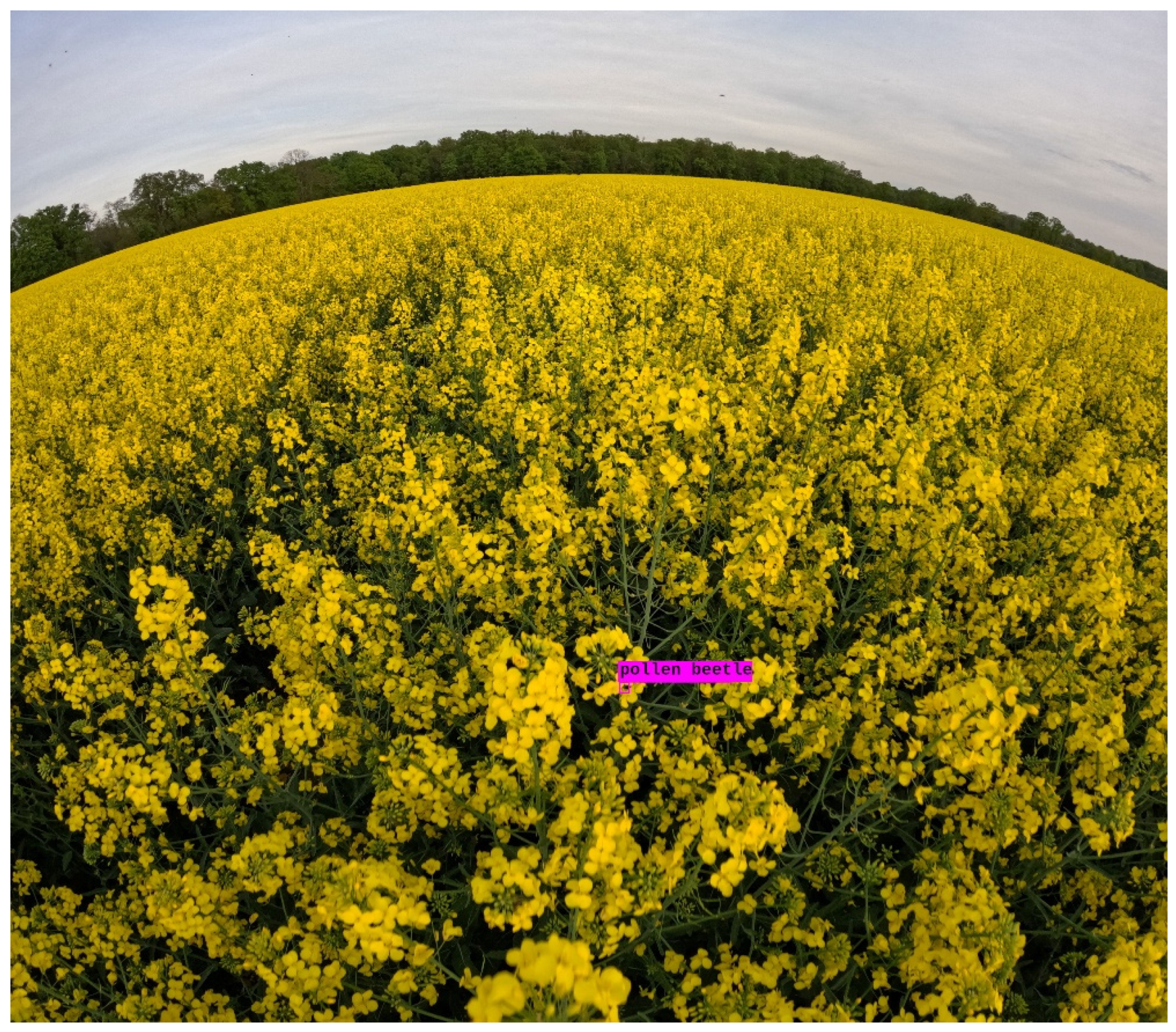 Applsci 16 01075 g006