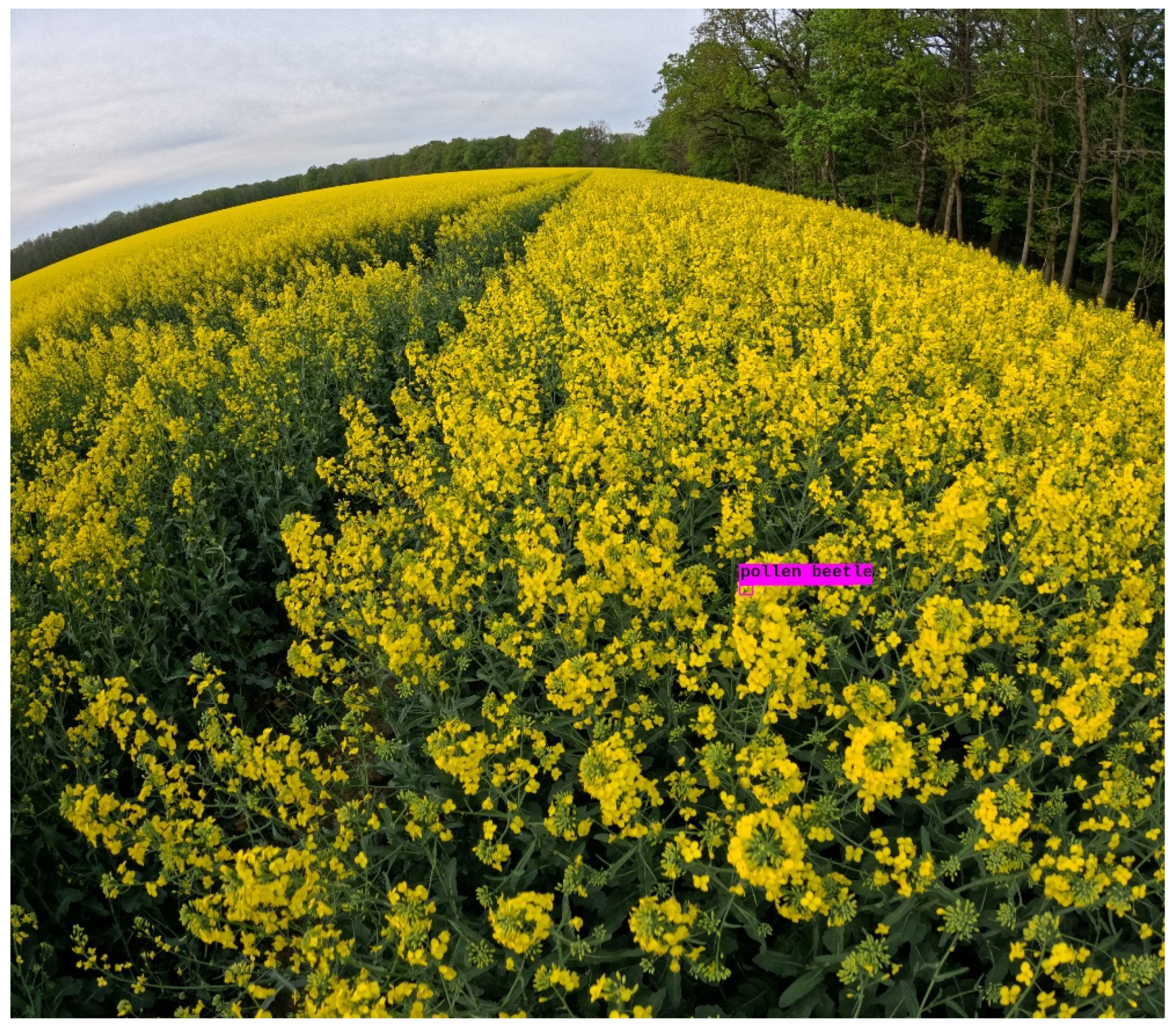 Applsci 16 01075 g007