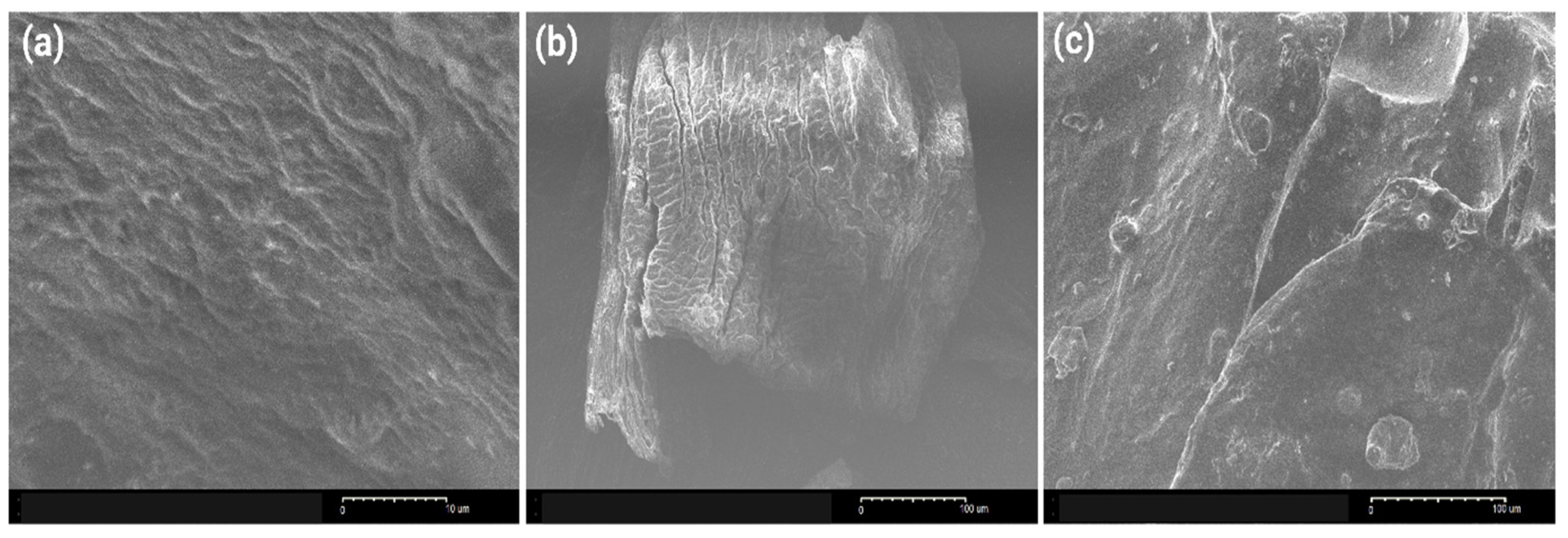 Applsci 16 01231 g004 Applsci 16 01231 g004