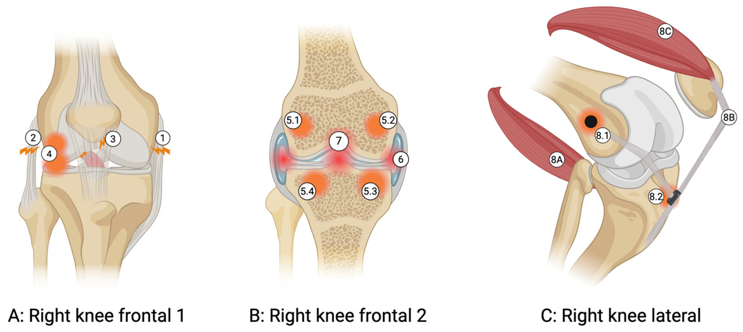 Applsci 16 01344 g002 Applsci 16 01344 g002