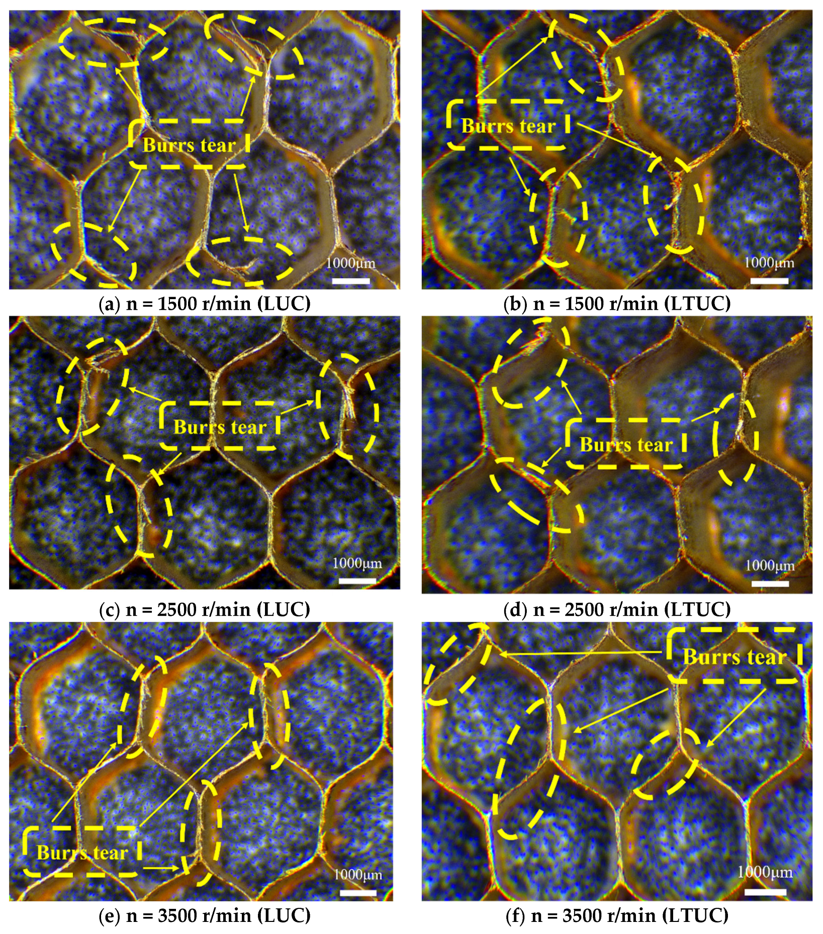 Applsci 16 01362 g017