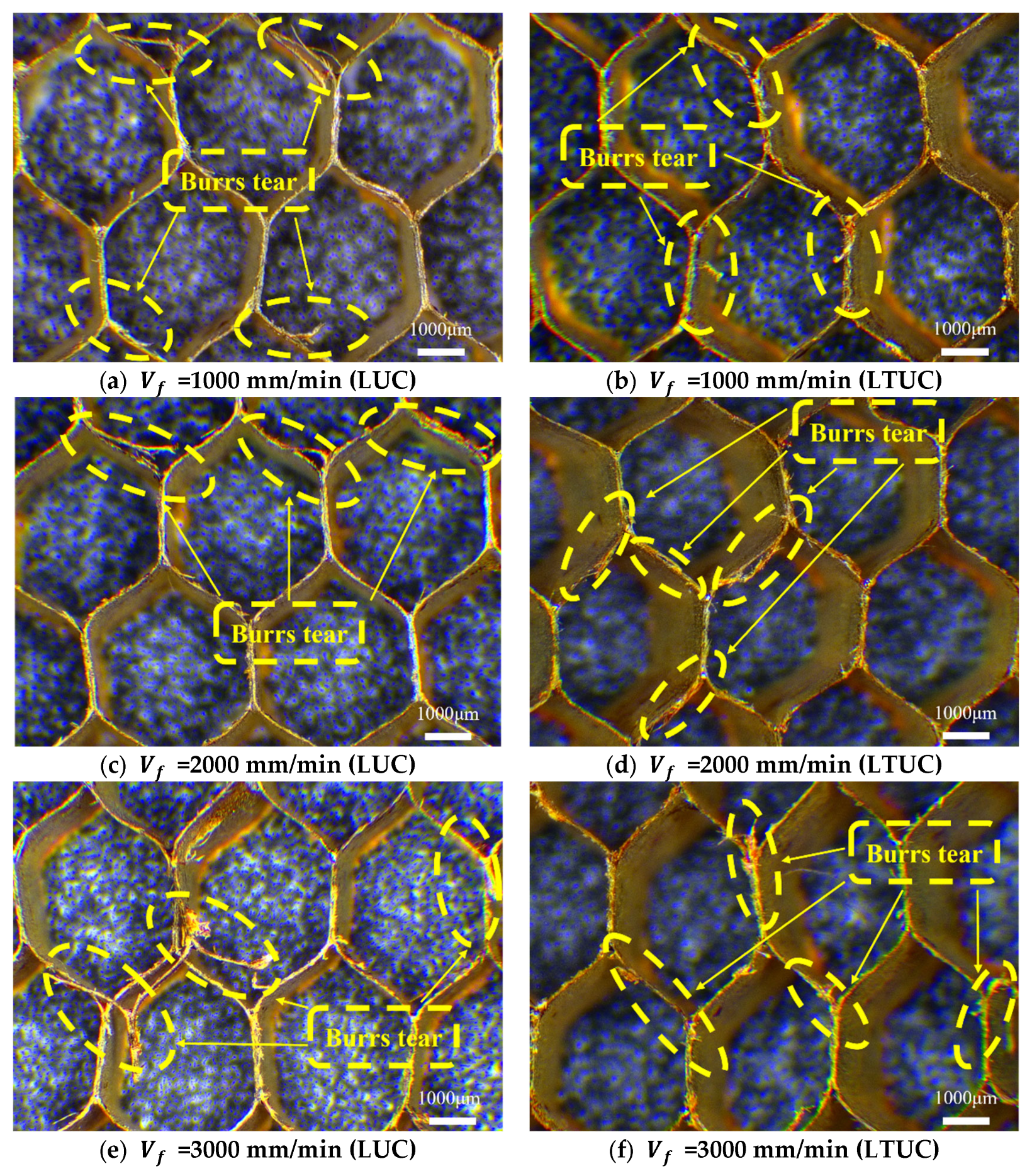 Applsci 16 01362 g018