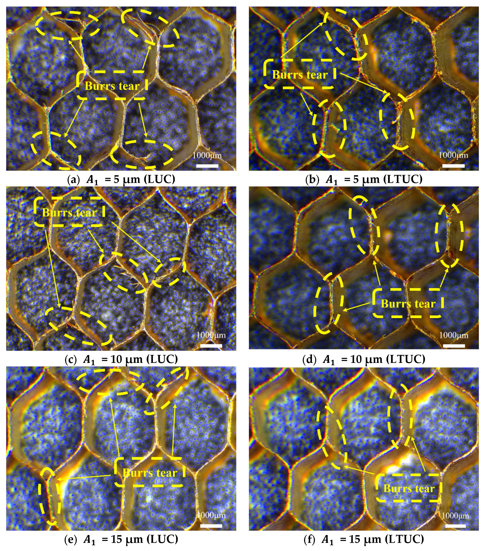 Applsci 16 01362 g019