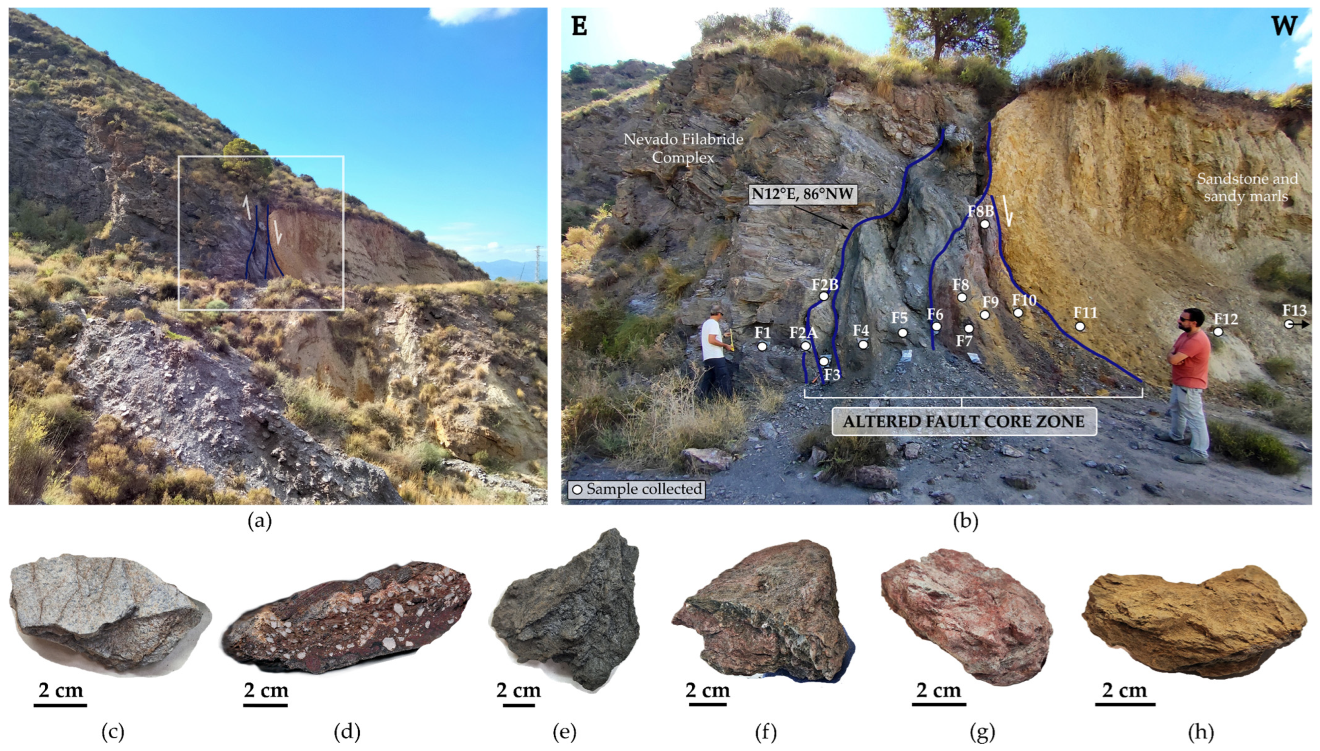 Applsci 16 01420 g002