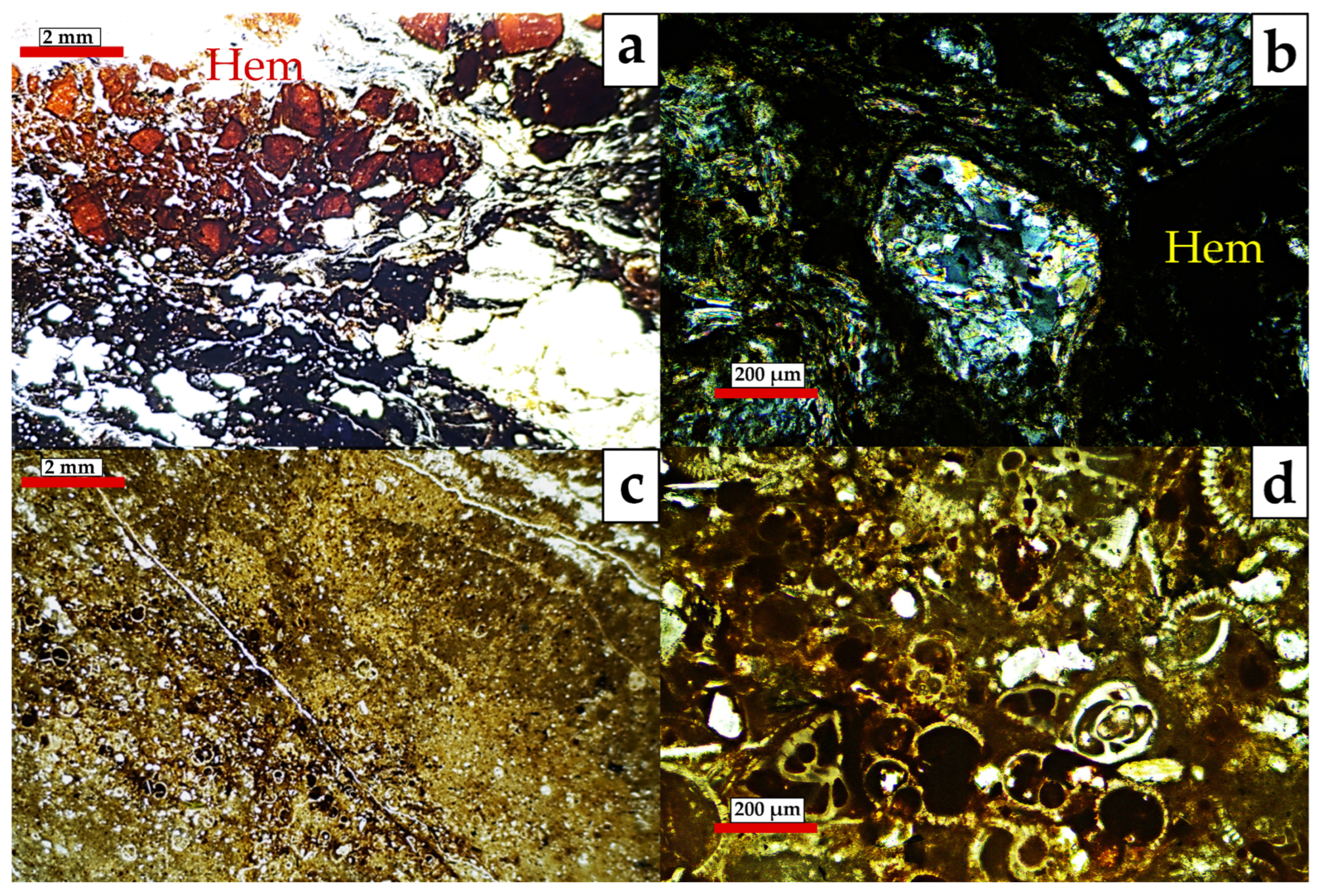 Applsci 16 01420 g009