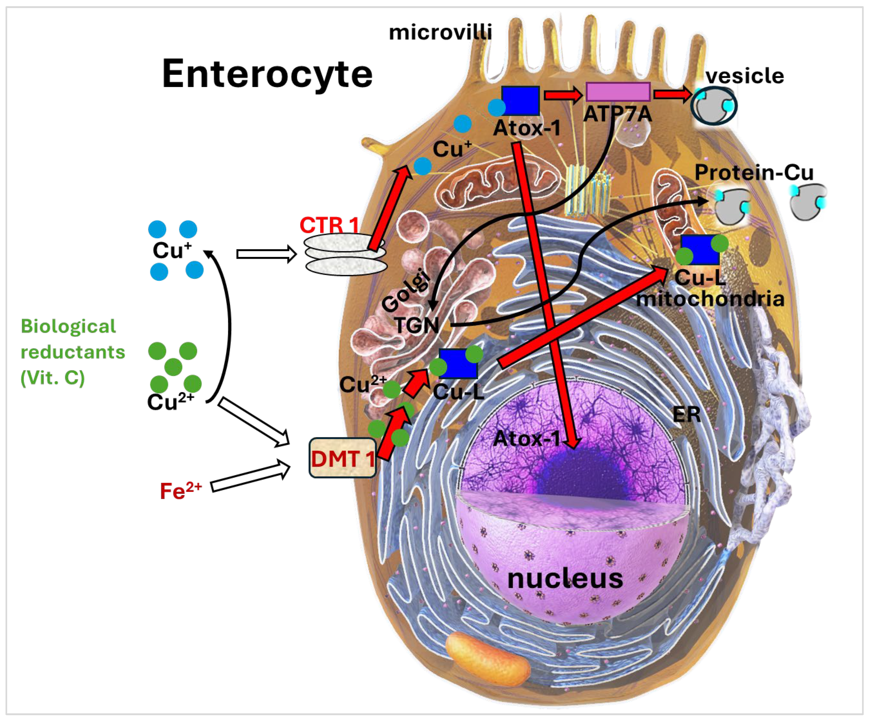 Applsci 16 01478 g001
