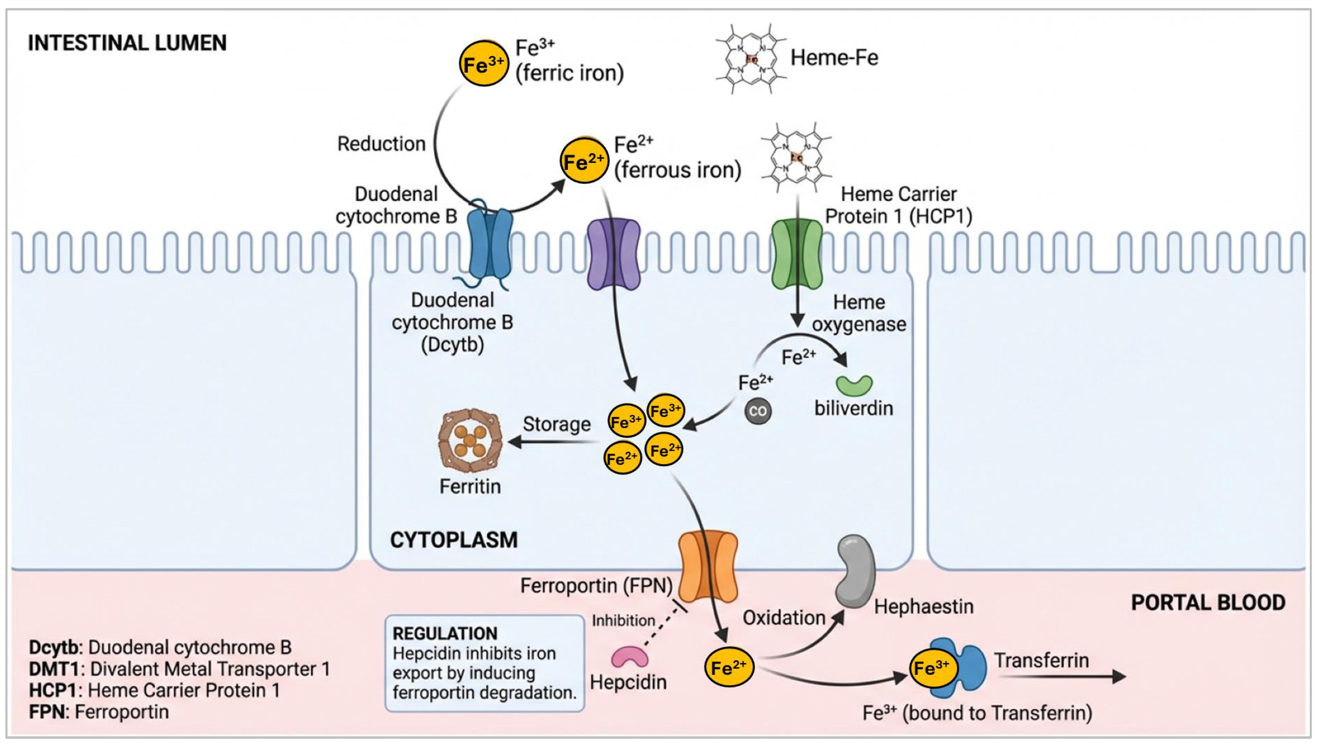 Applsci 16 01478 g003