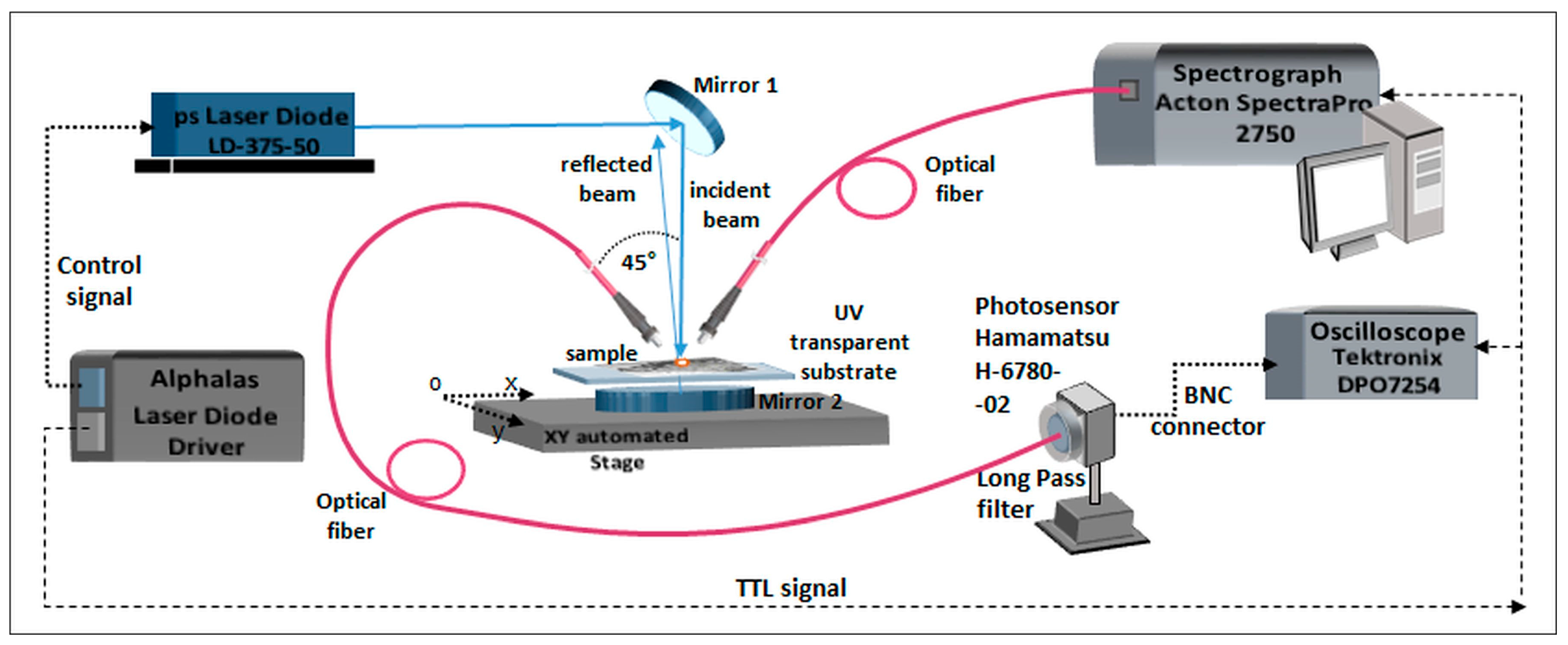 Applsci 16 01536 g004 Applsci 16 01536 g004