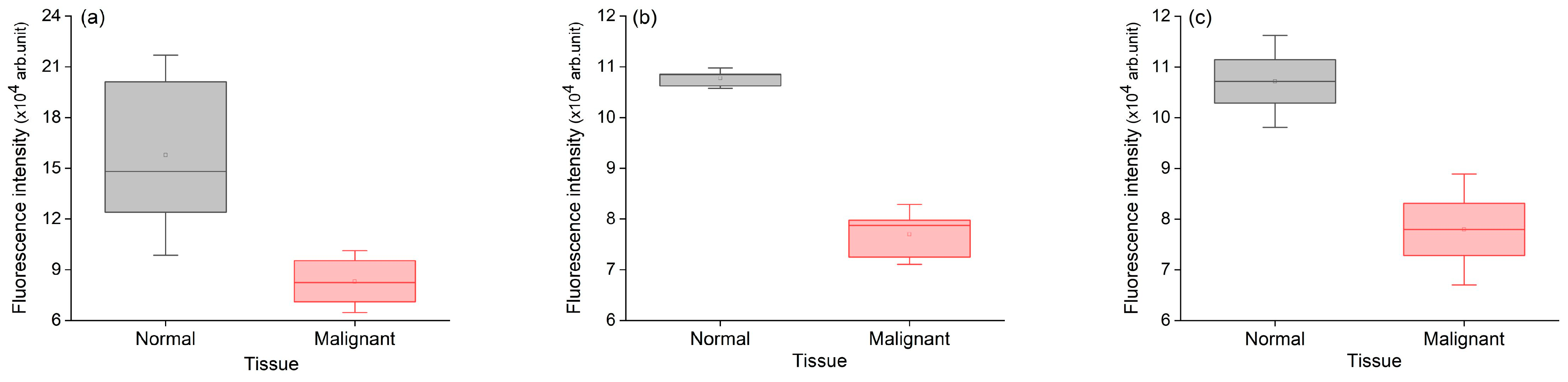 Applsci 16 01536 g007 Applsci 16 01536 g007