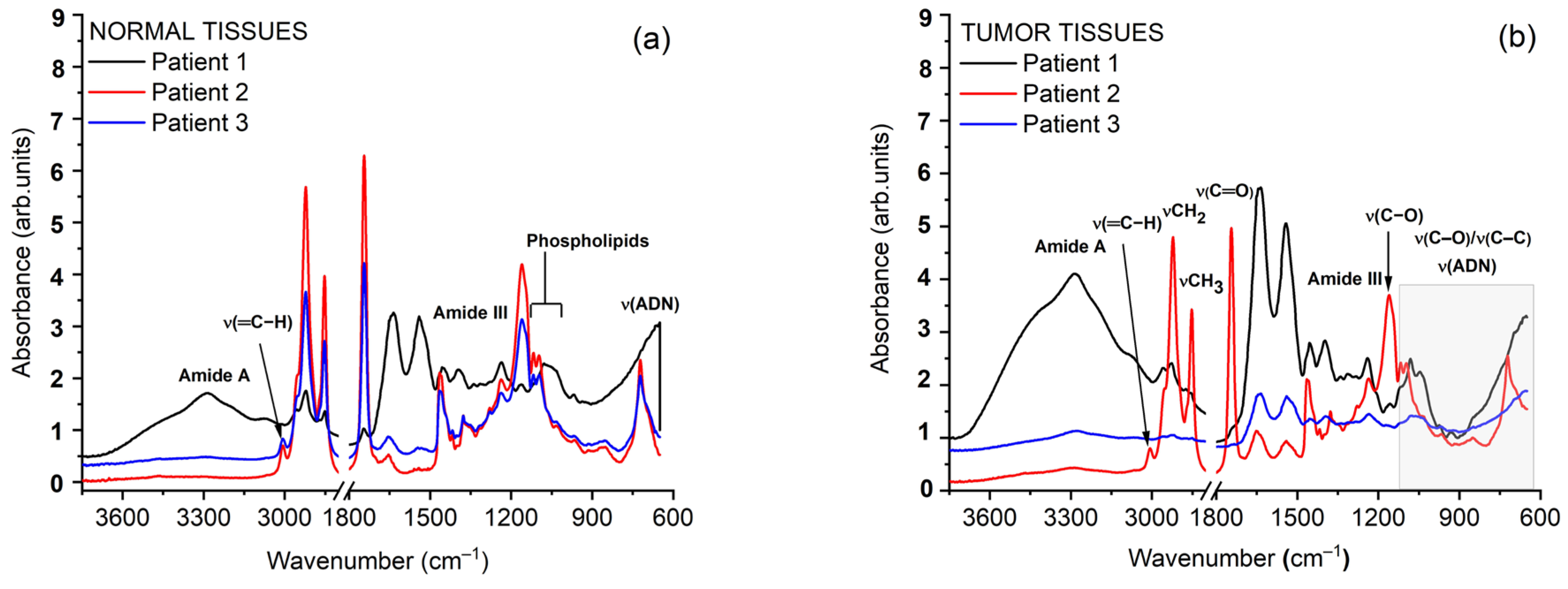 Applsci 16 01536 g010 Applsci 16 01536 g010