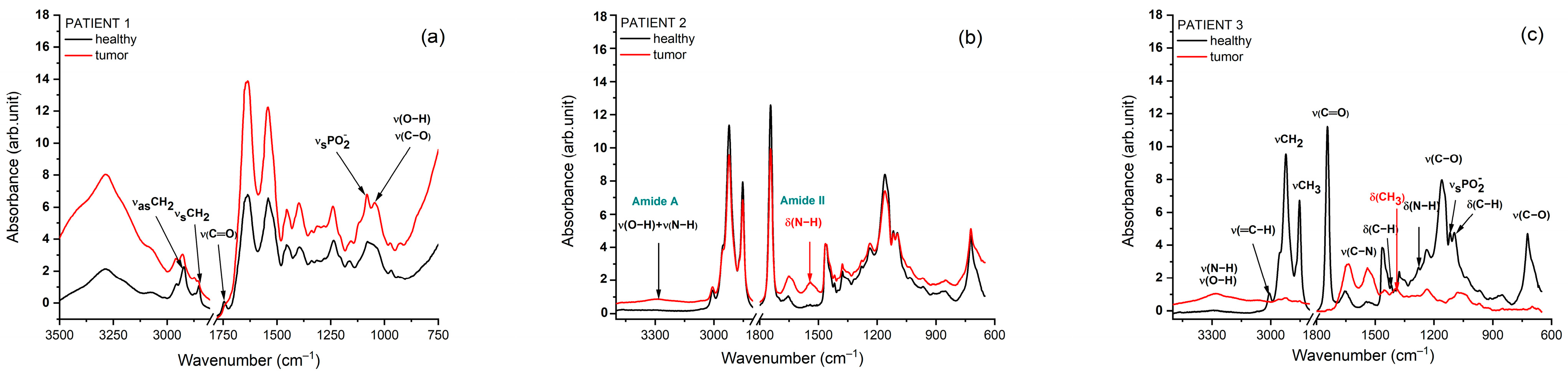 Applsci 16 01536 g011 Applsci 16 01536 g011