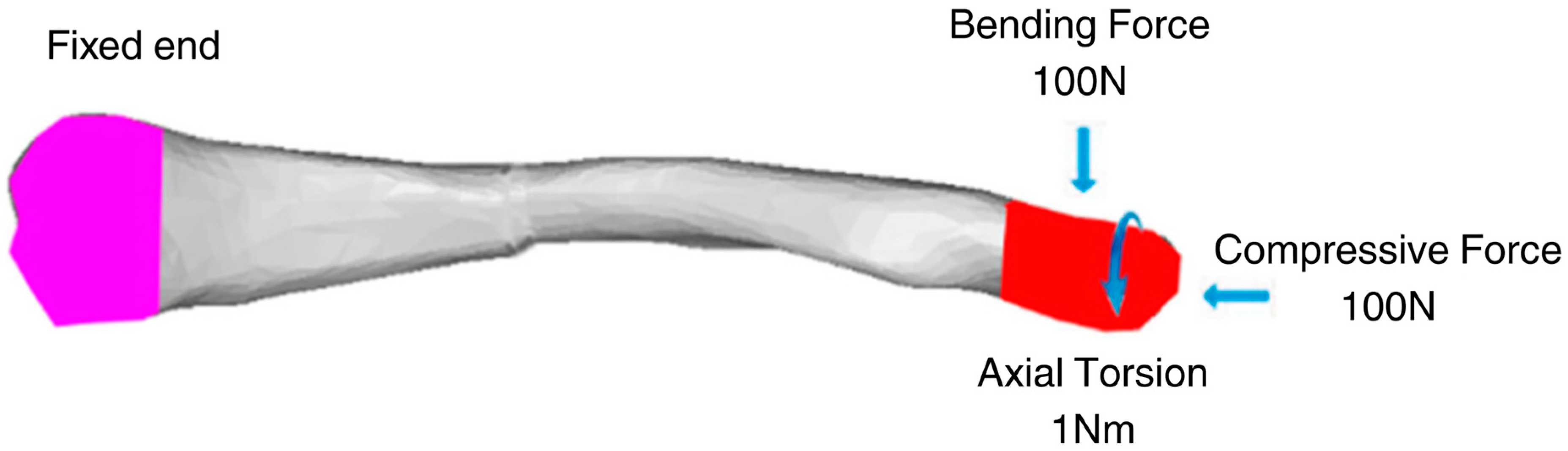 Applsci 16 01602 g003 Applsci 16 01602 g003
