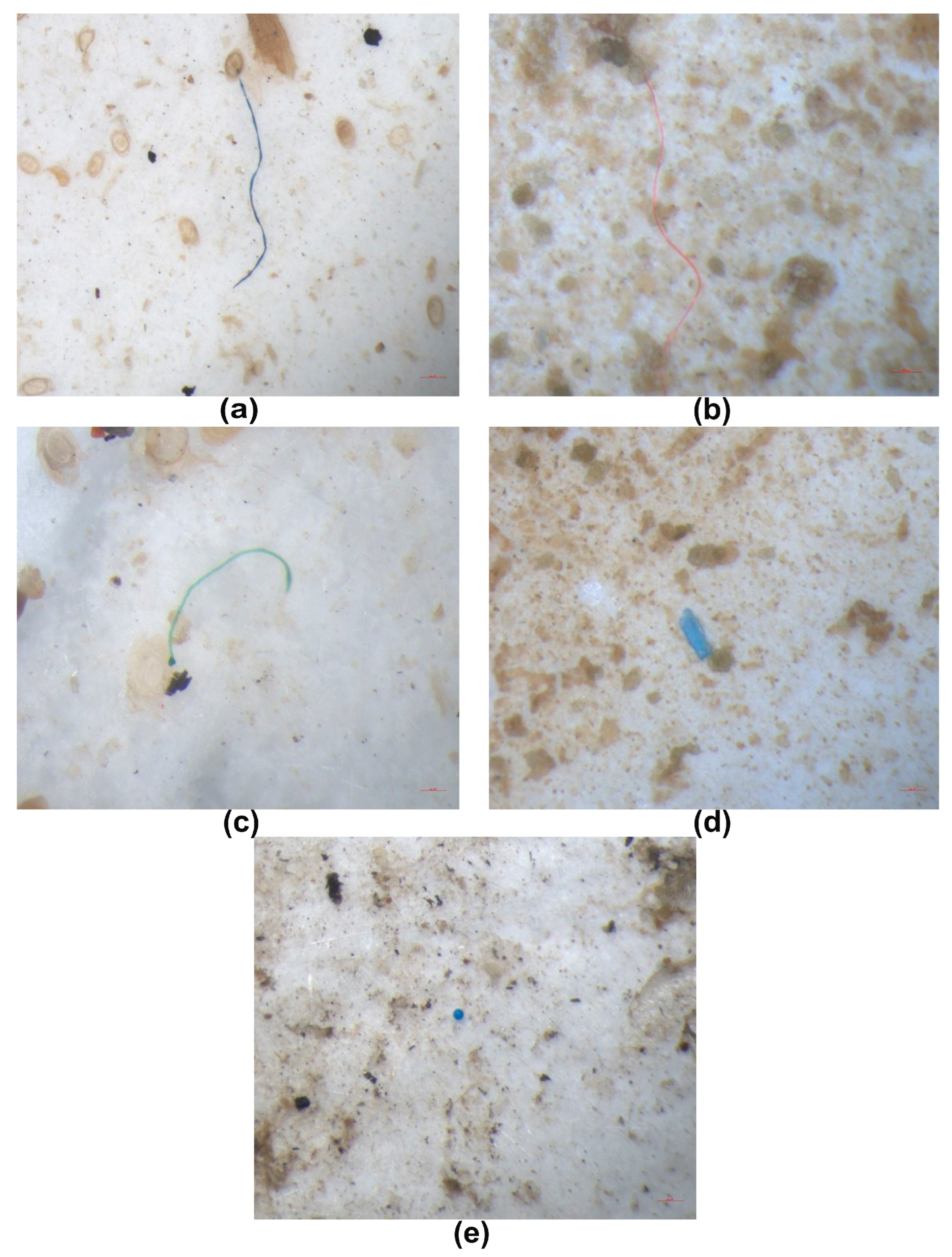 Applsci 16 01708 g004 Applsci 16 01708 g004