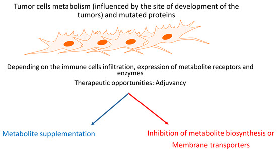 Molecular Targets for Cancer Immunotherapy: Focusing on (Immune