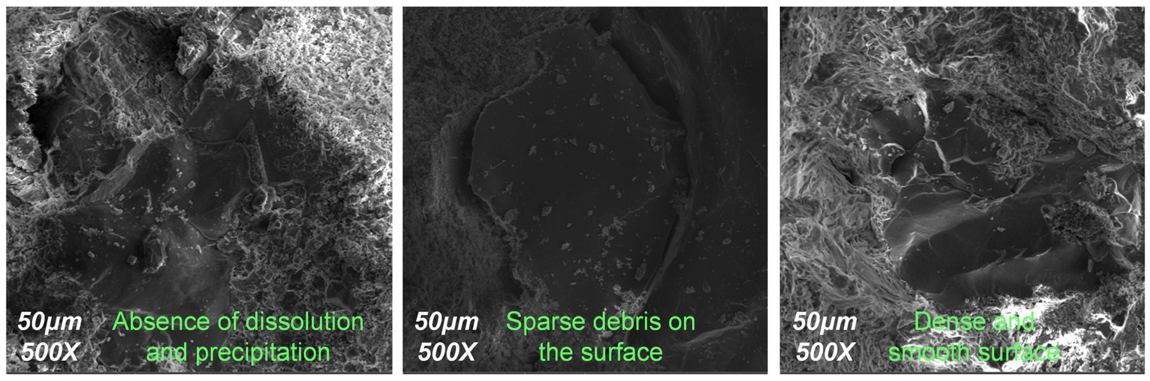 Applsci 16 02563 g008 Applsci 16 02563 g008
