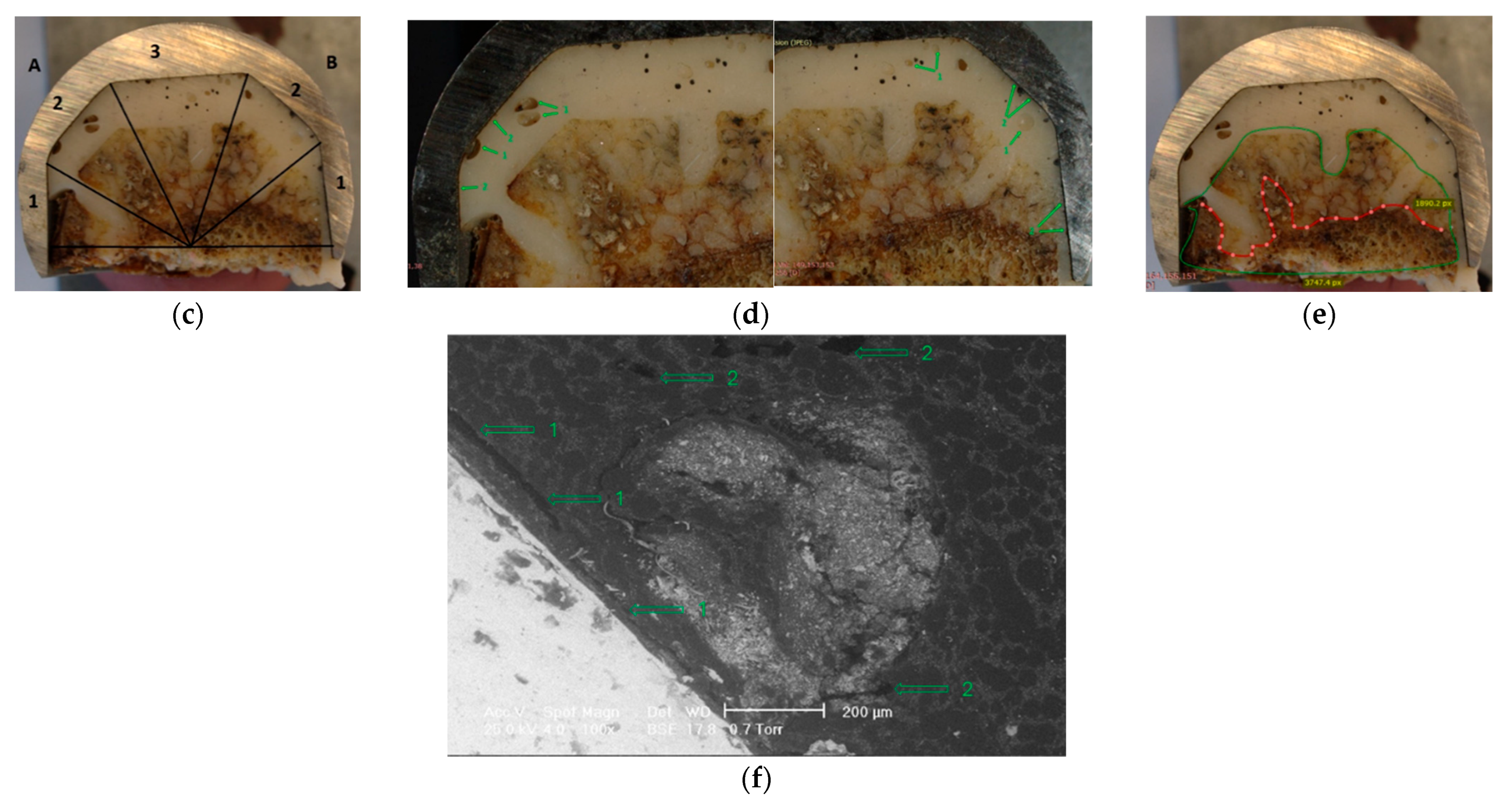 Applsci 16 03045 g007b