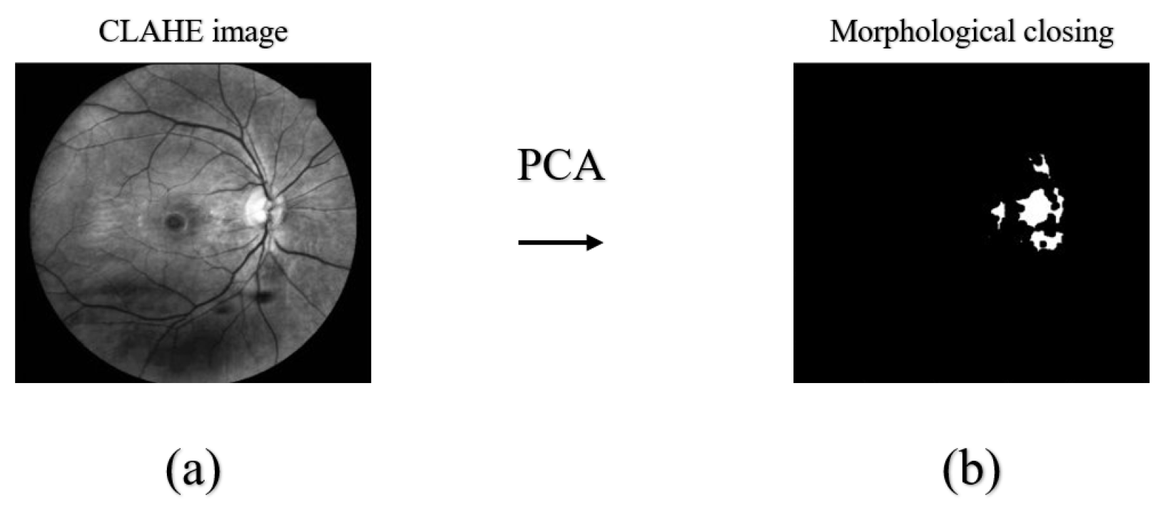 Applsci 16 03158 g006