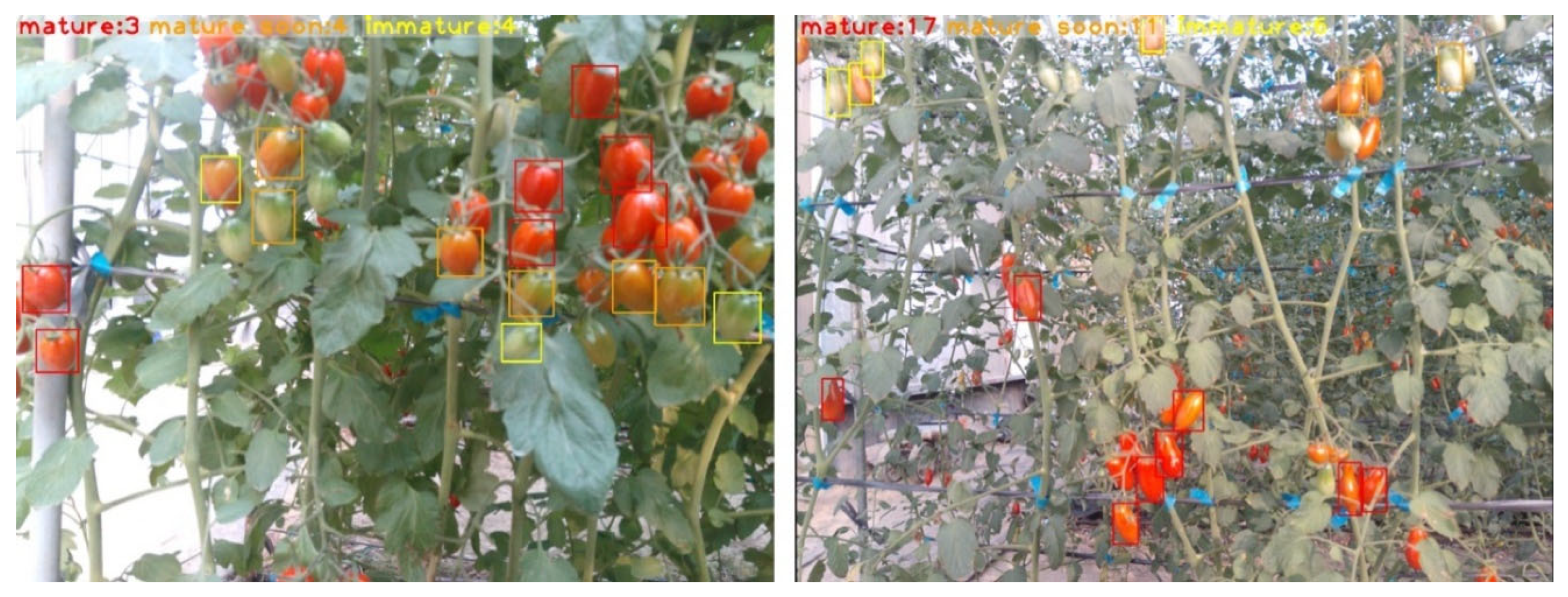 Applsci 16 03227 g006