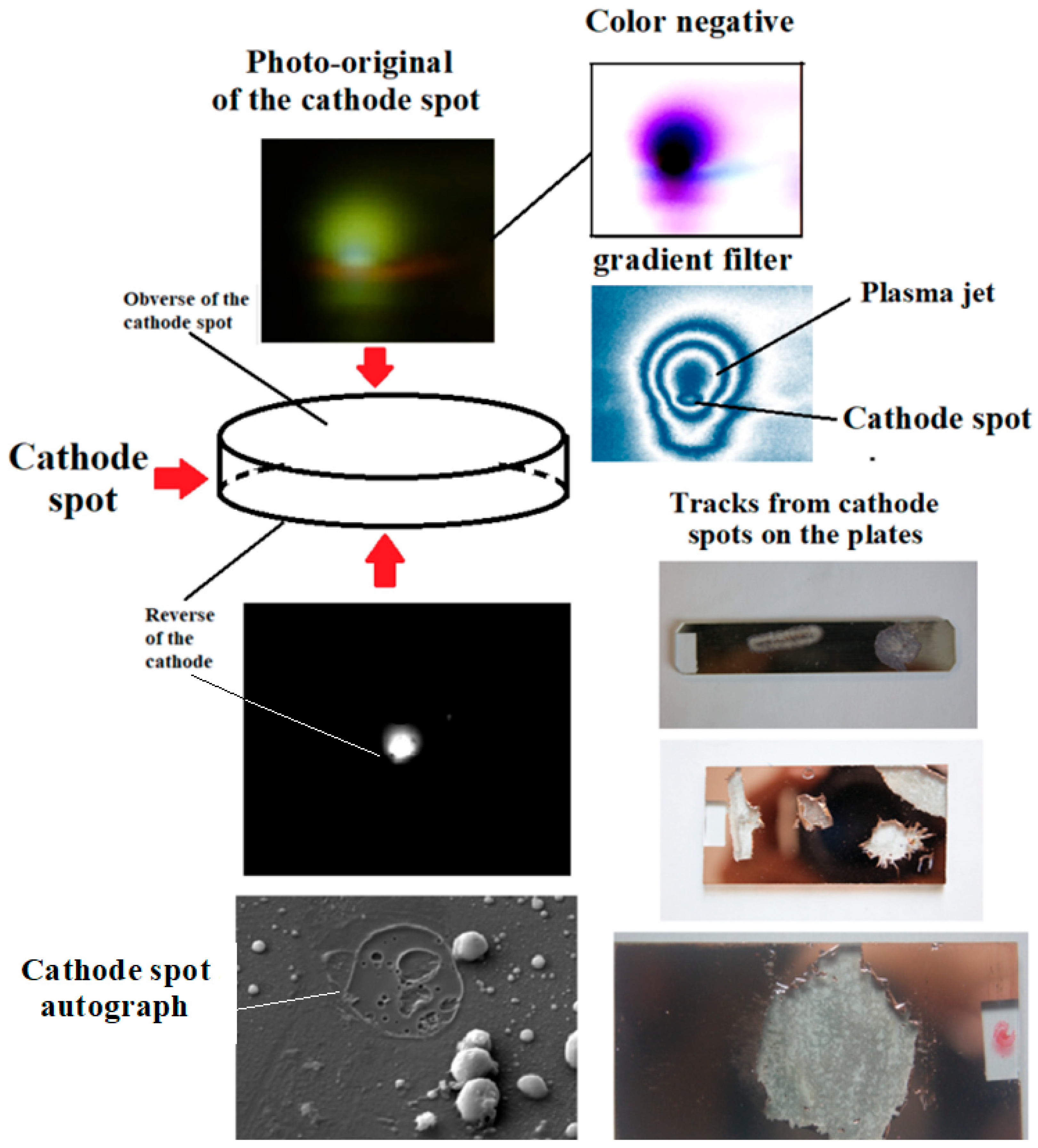 Applsci 16 03385 g002