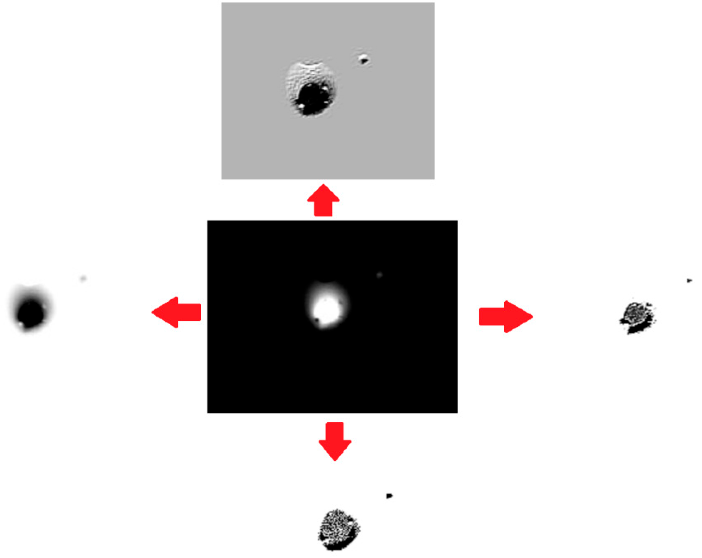Applsci 16 03385 g006