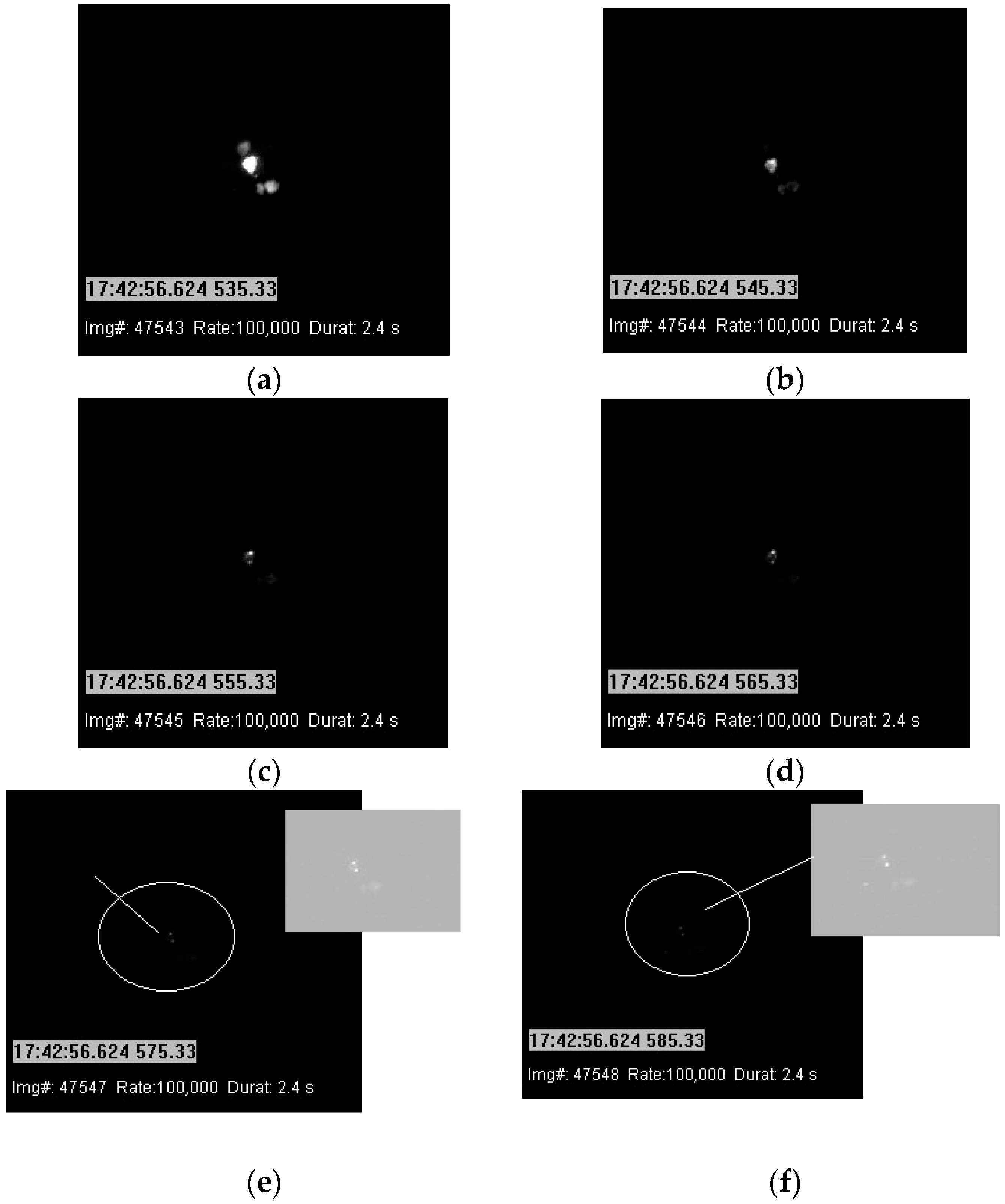 Applsci 16 03385 g021