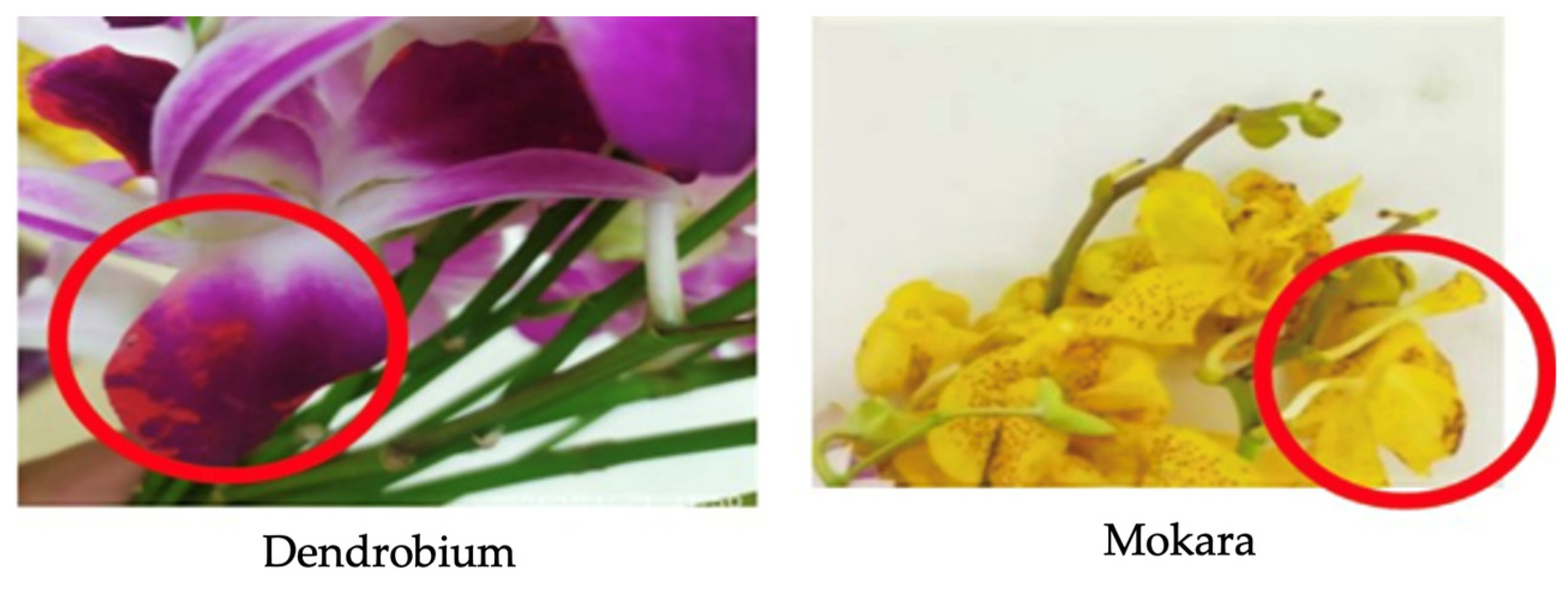 Applsci 16 03568 g015