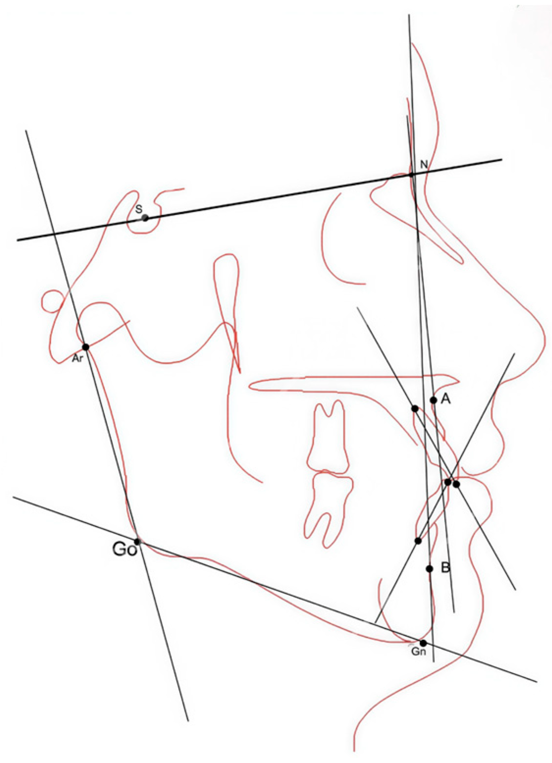 Applsci 16 03613 g001 Applsci 16 03613 g001