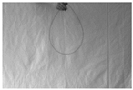 Applsci 16 03750 i001