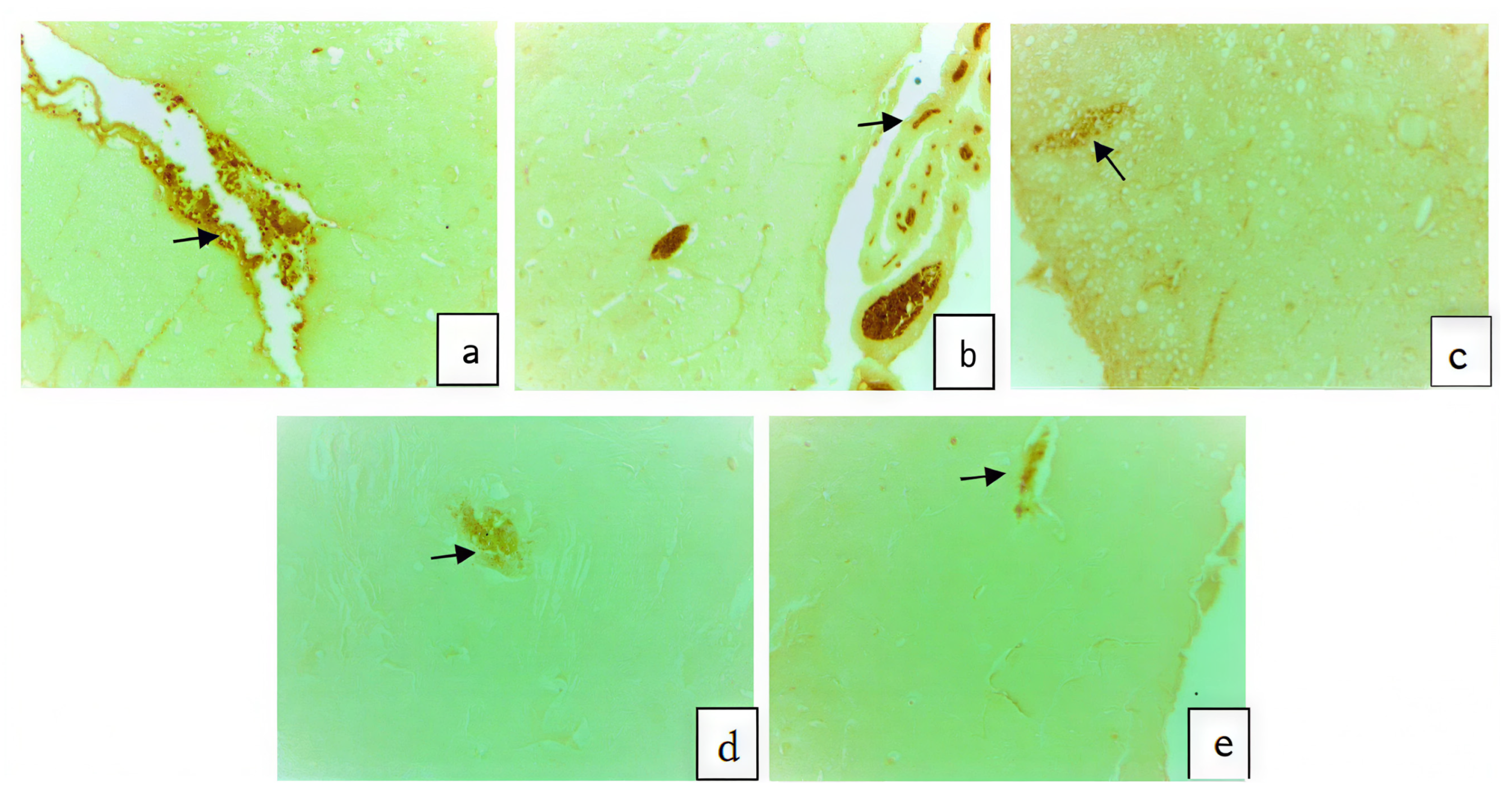 Applsci 16 04012 g006