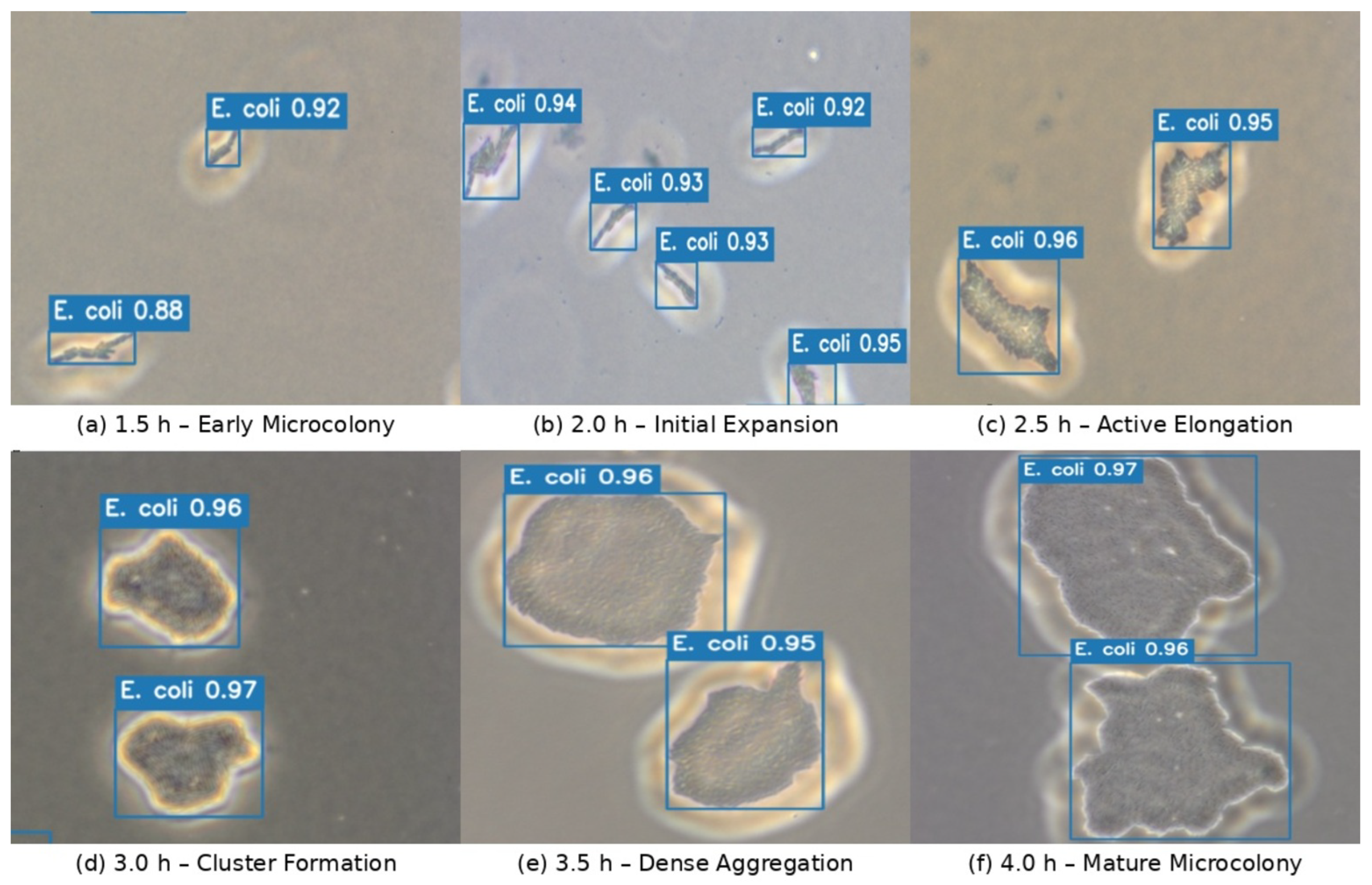 Applsci 16 04241 g015