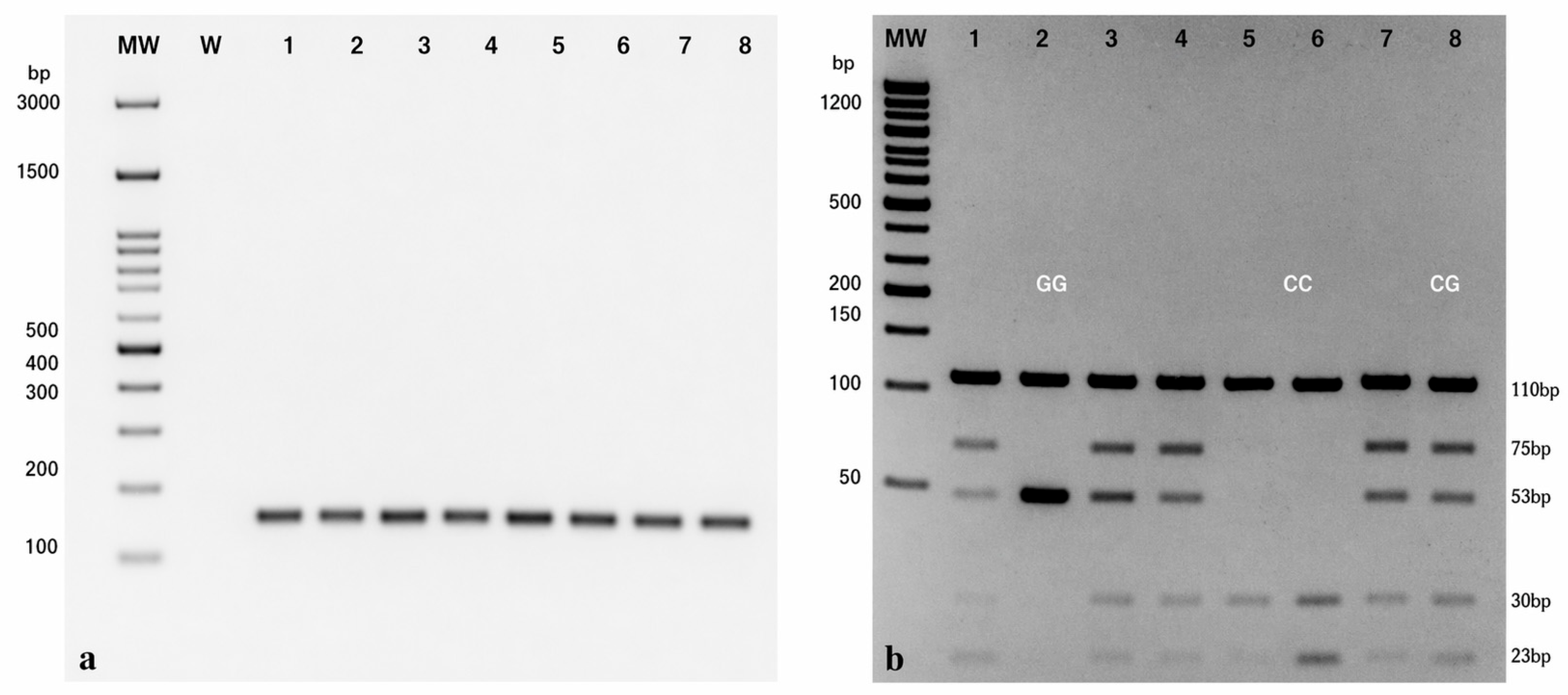 Applsci 16 04313 g003 Applsci 16 04313 g003