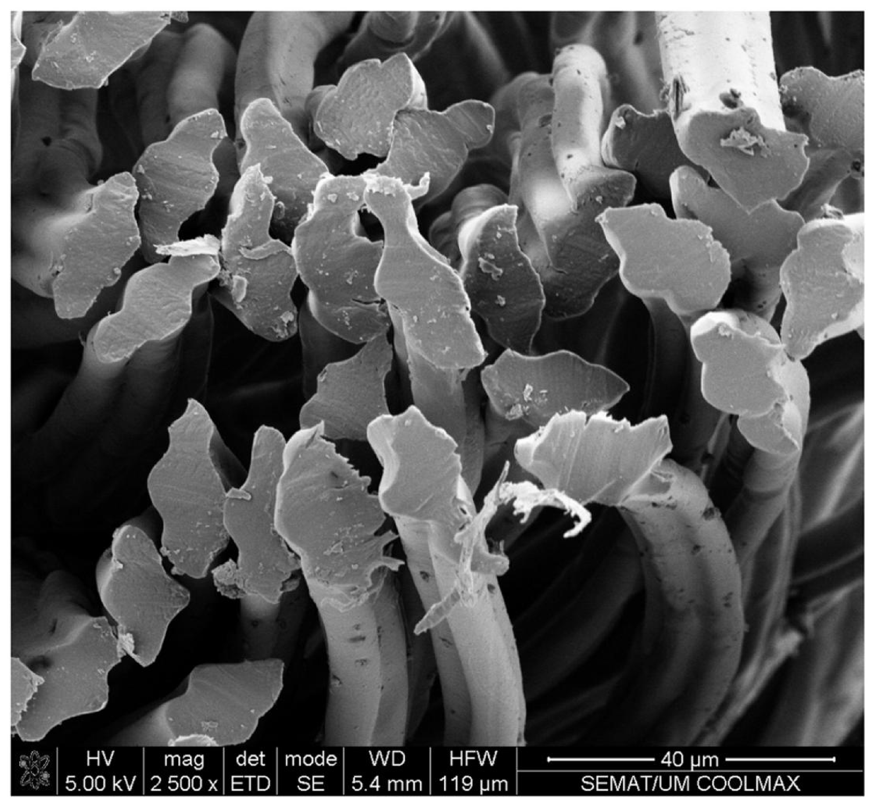 Applsci 16 04904 g001