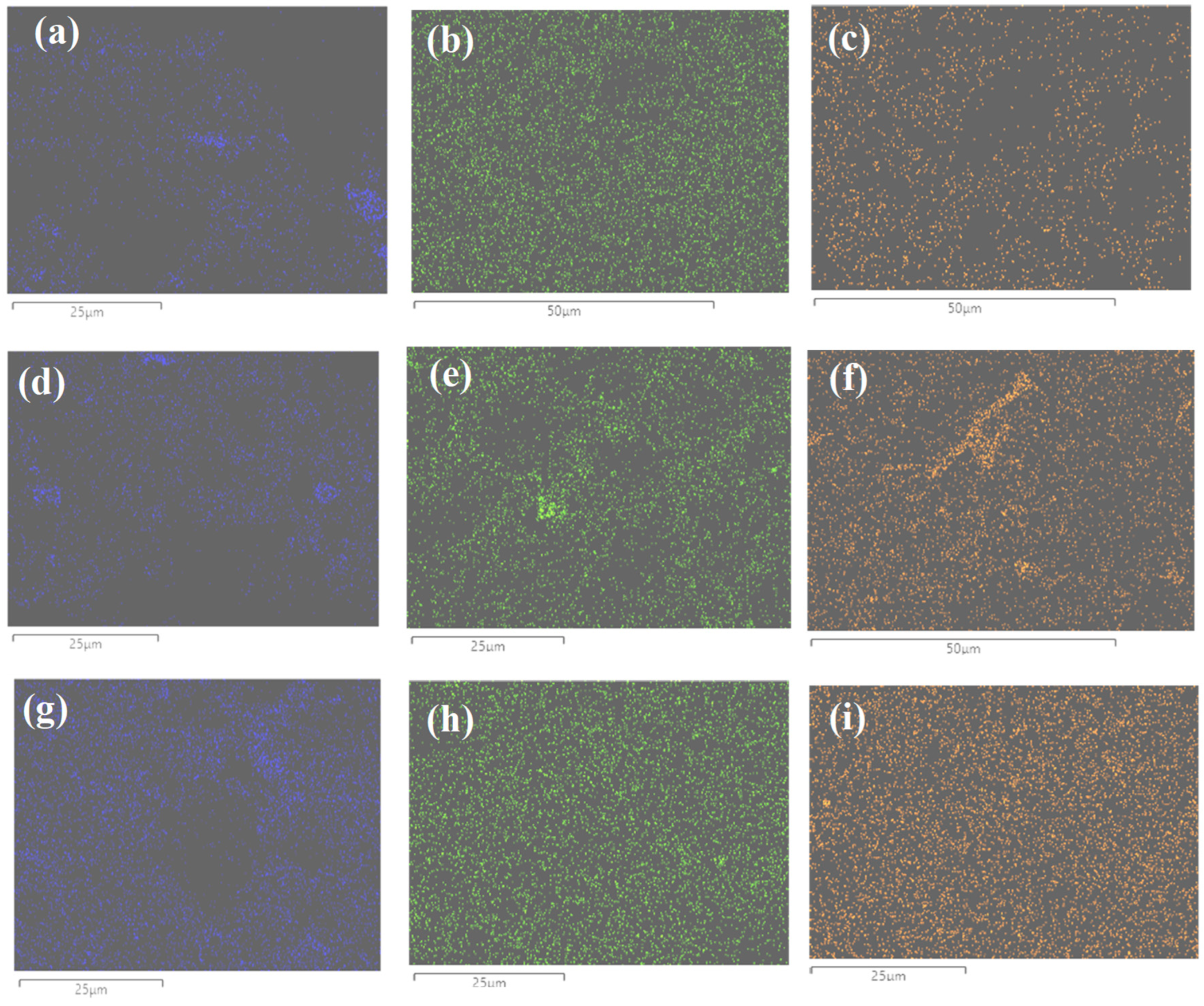 Applsci 16 05140 g002 Applsci 16 05140 g002