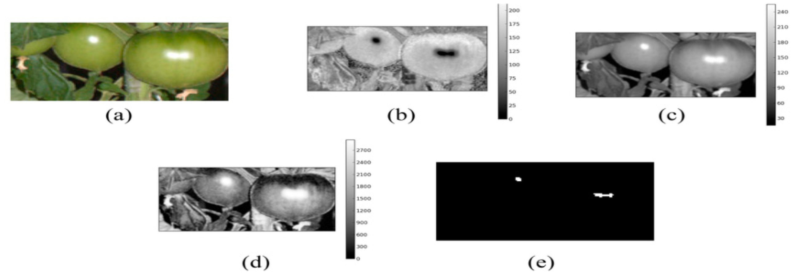Applsci 16 05183 g005 Applsci 16 05183 g005