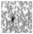 Applsci 16 05868 i013