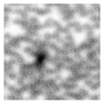 Applsci 16 05868 i029